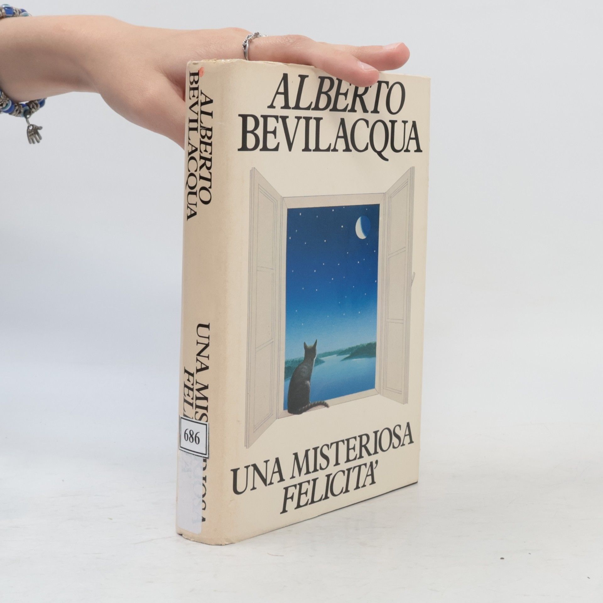Alberto Bevilacqua Una misteriosa felicità