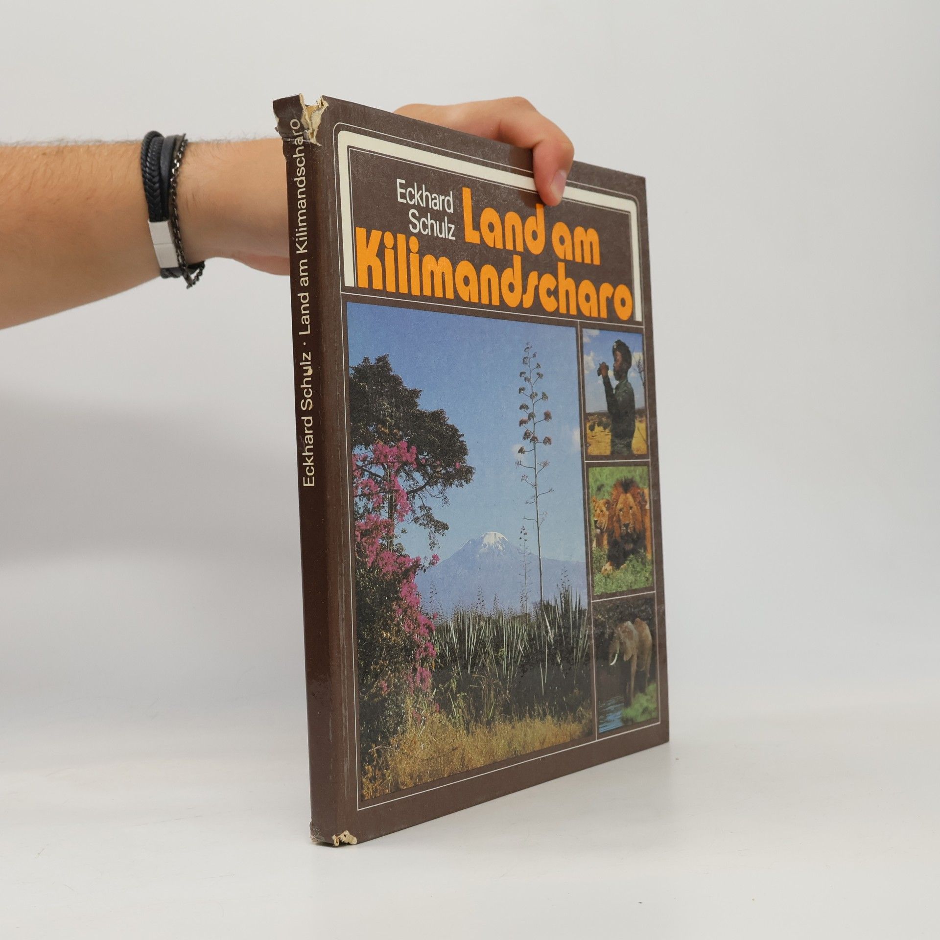 Eckhard Schulz Land am Kilimandscharo
