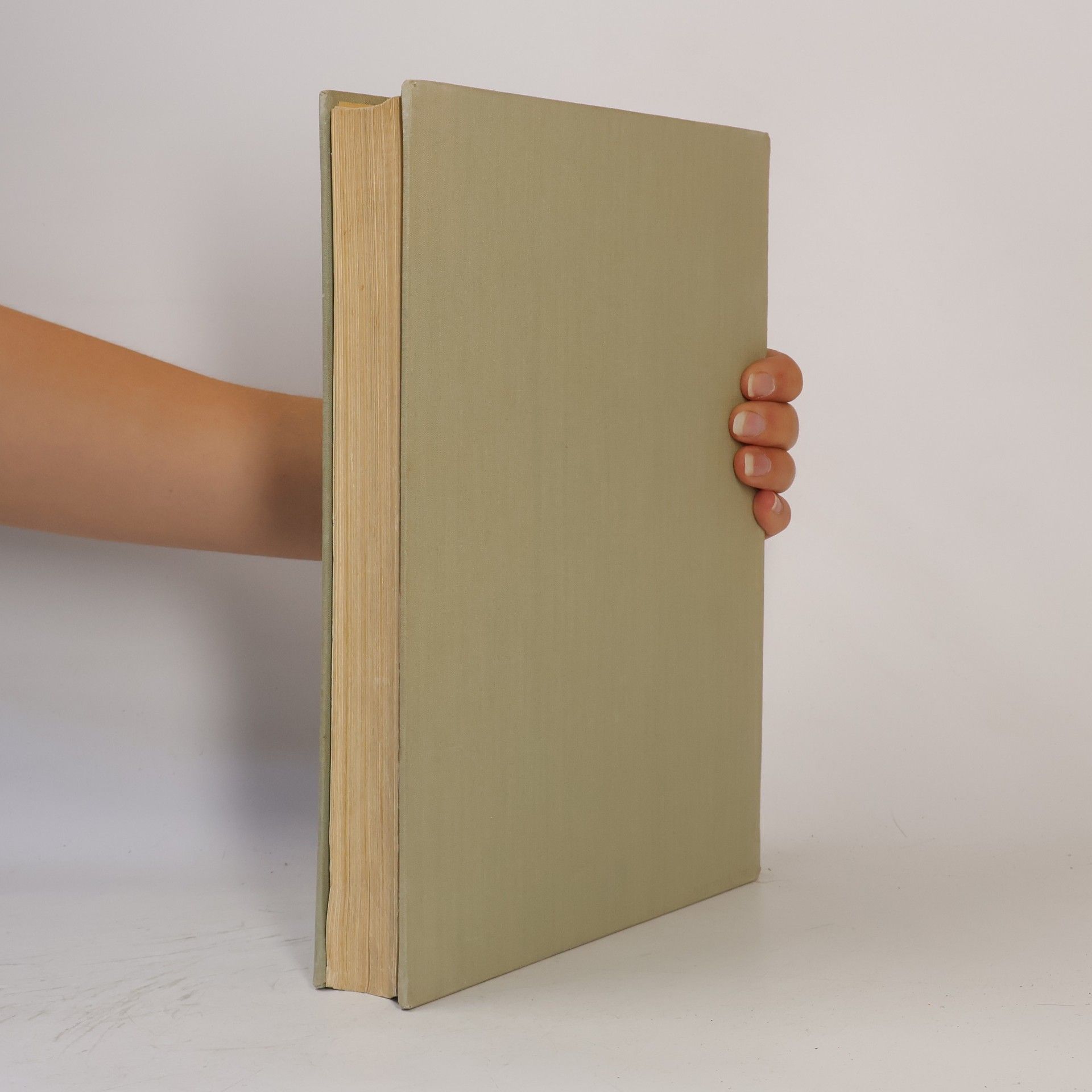 Collectif d'auteurs Enciclopedia del ragazzo italiano 2