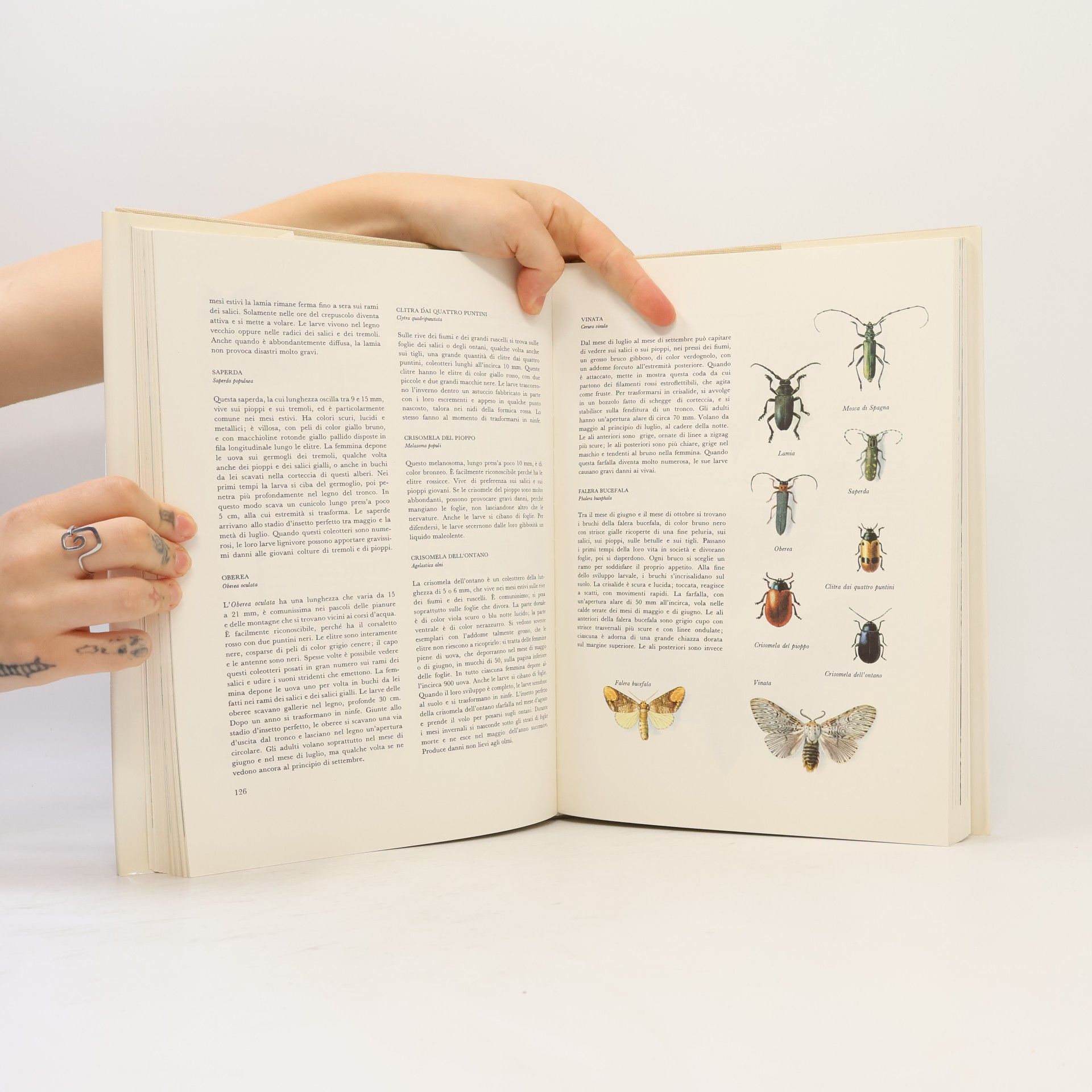 Jiří Felix La Fauna d'Europa