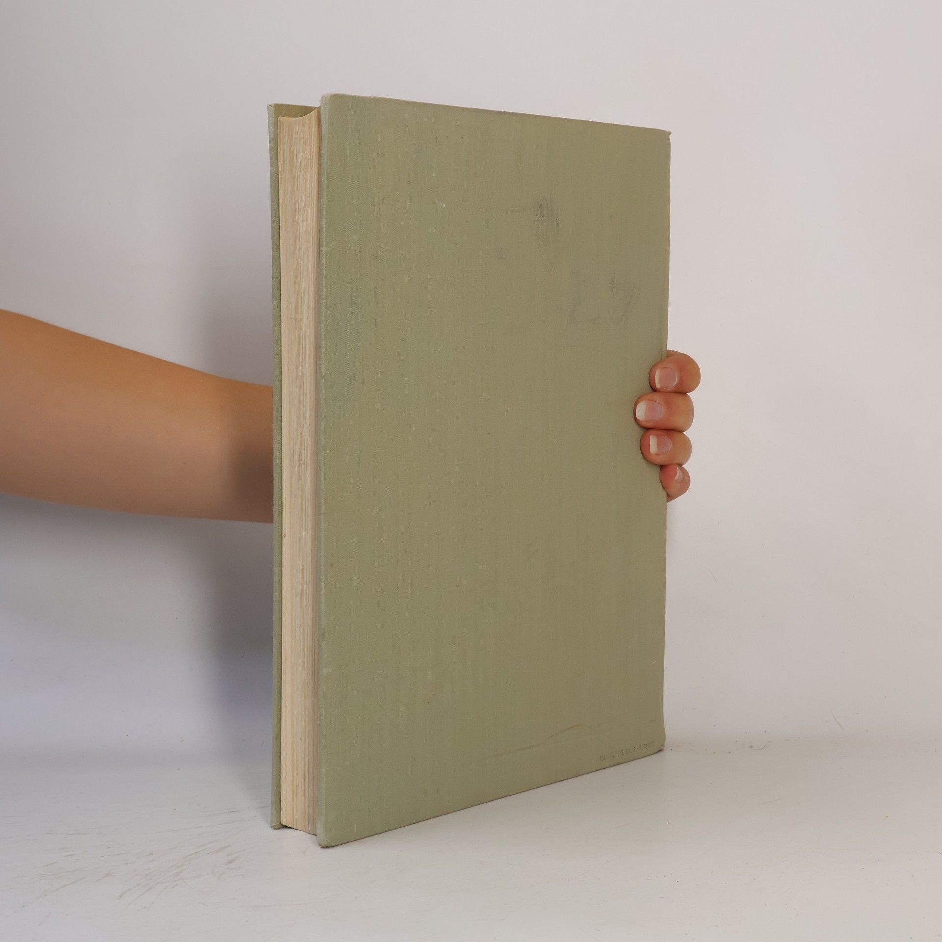 Collectif d'auteurs Enciclopedia del ragazzo italiano V.