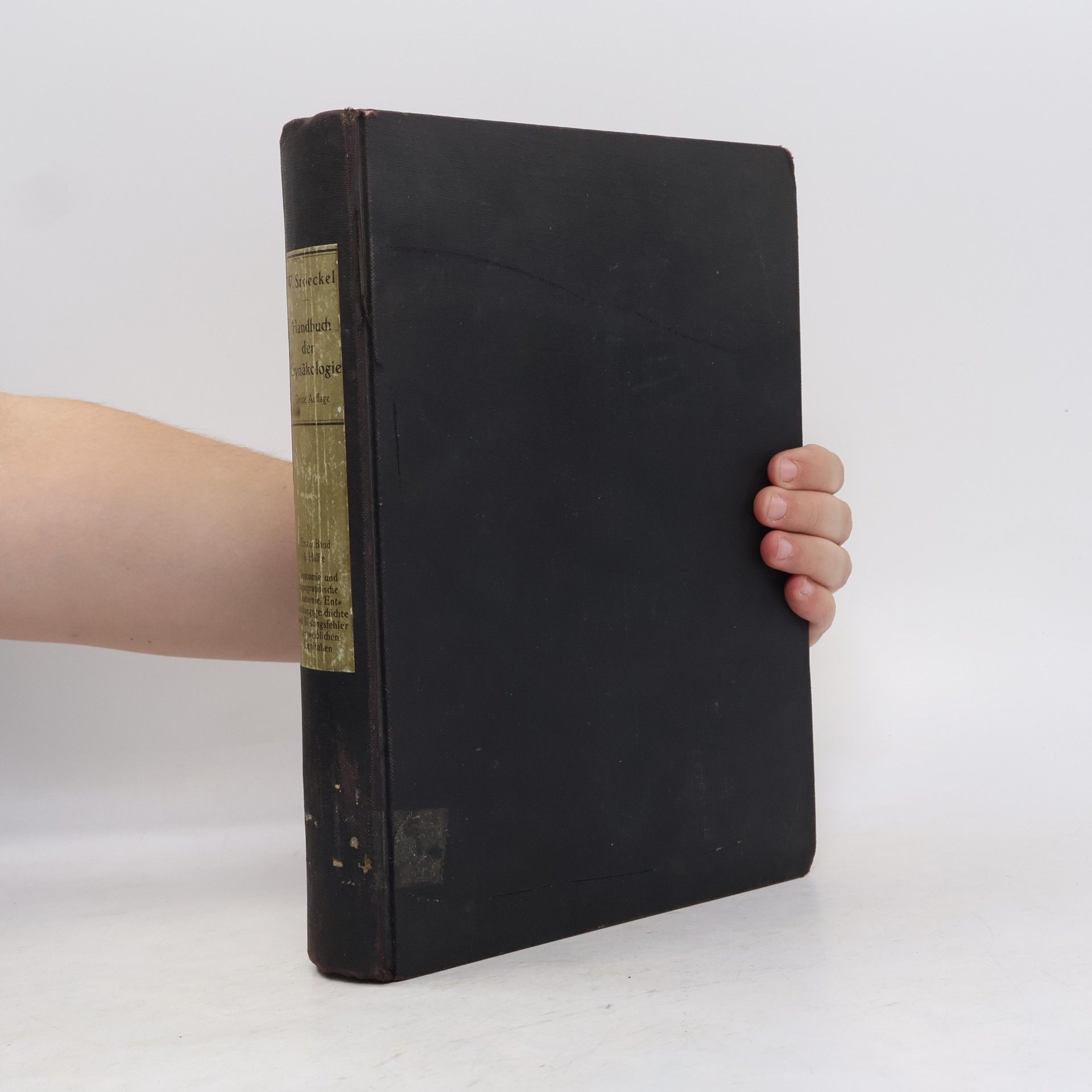 Autorenkollektiv Anatomie und topographische Anatomie, Entwicklungsgeschichte und Bildungsfehler der weiblichen Genitalien