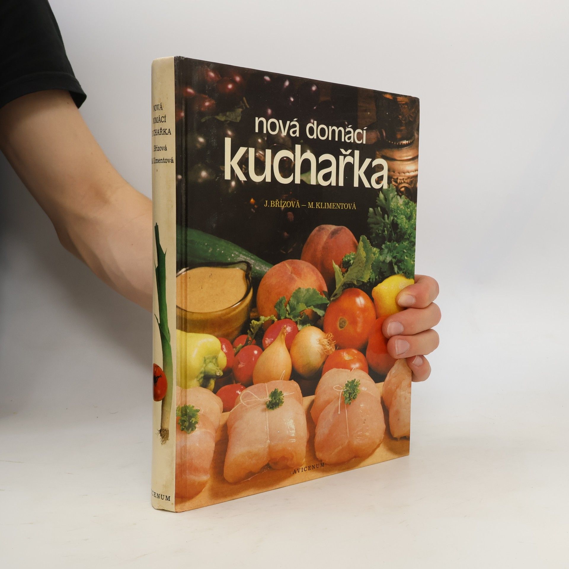 Joza Břízová Nová domácí kuchařka