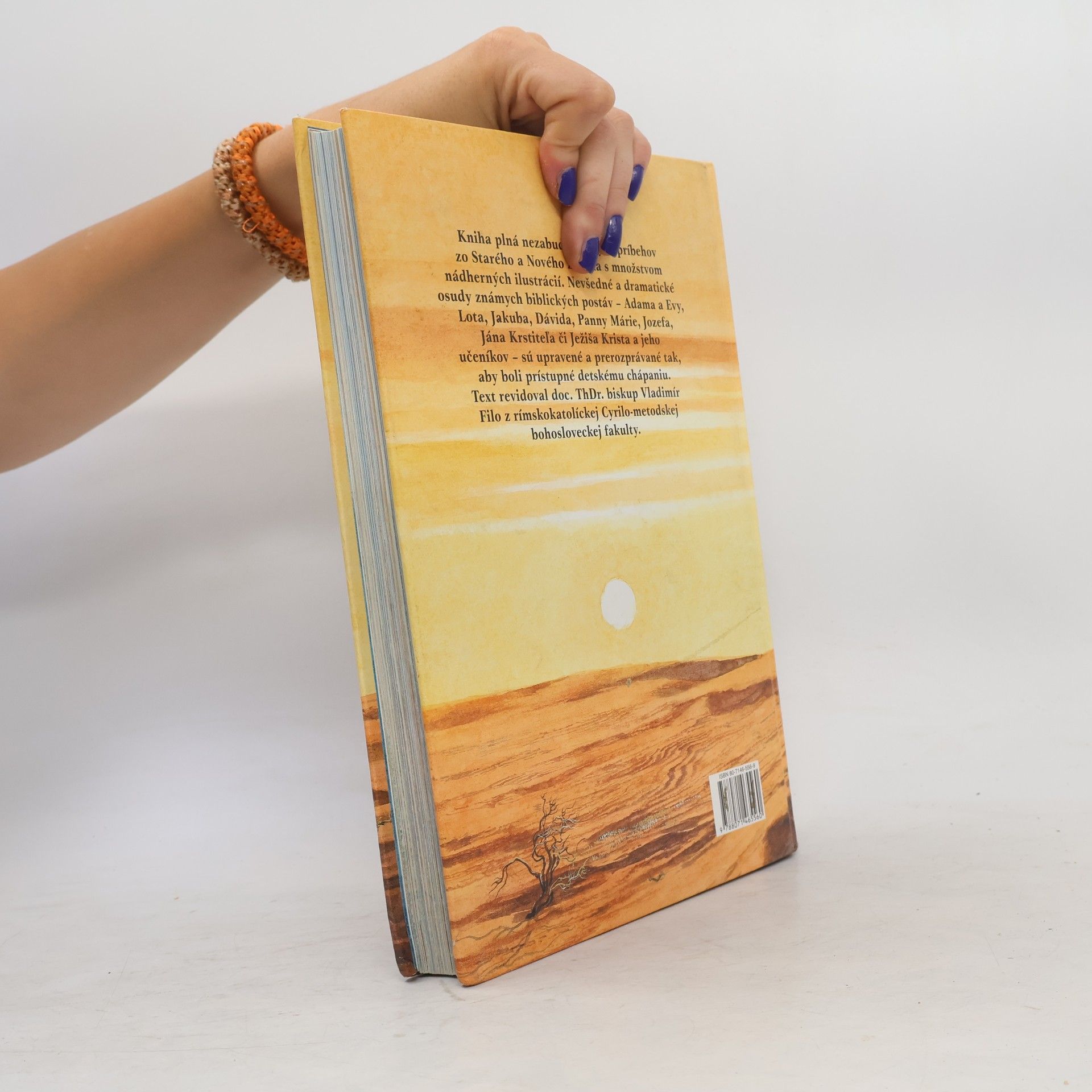 Iveta Pijáková Detská ilustrovaná Biblia