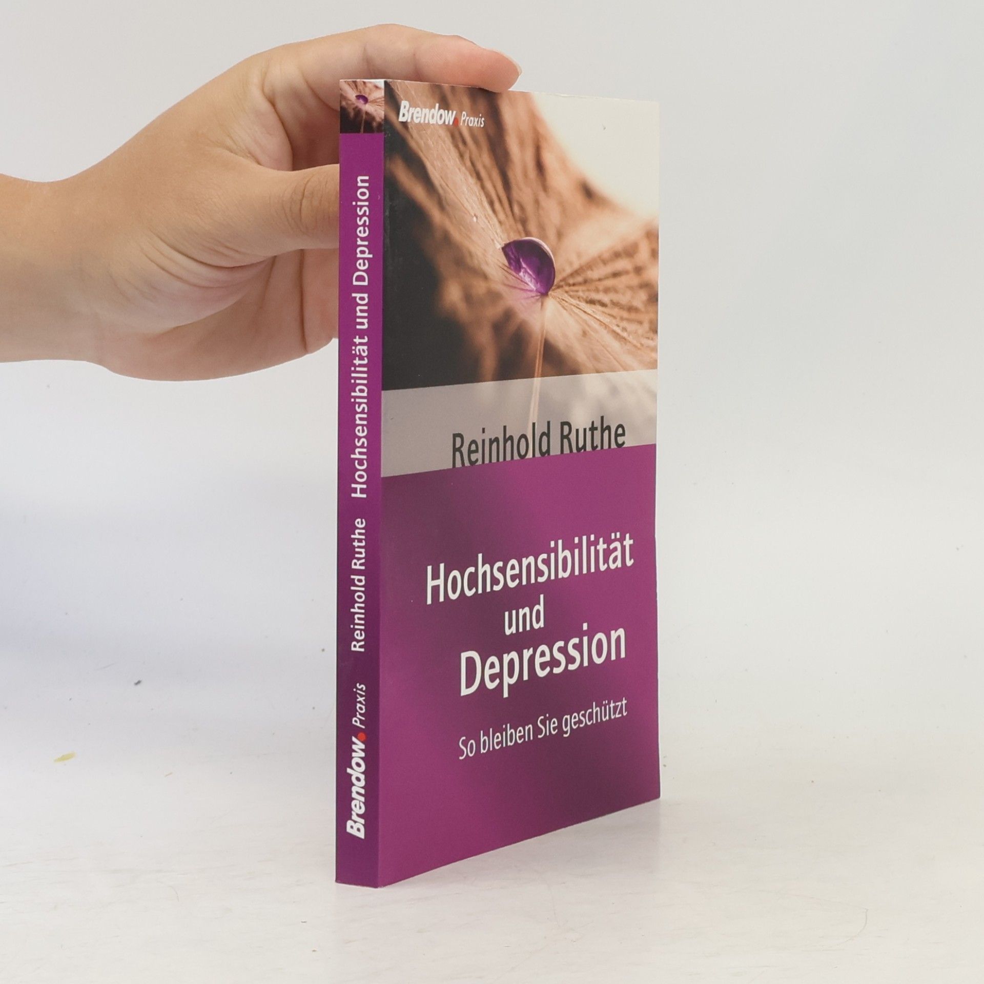Reinhold Ruthe Hochsensibilität und Depression