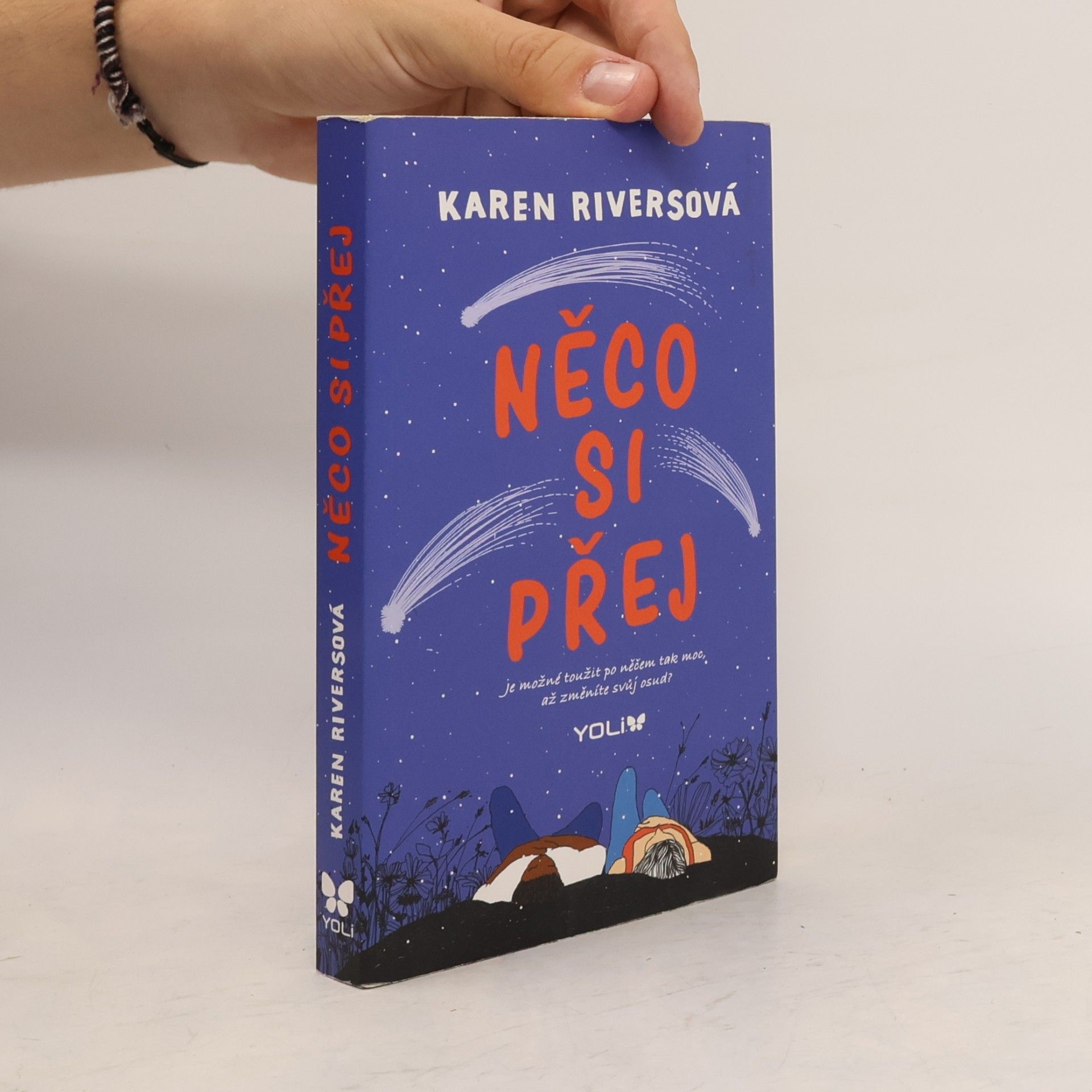 Karen Rivers Něco si přej