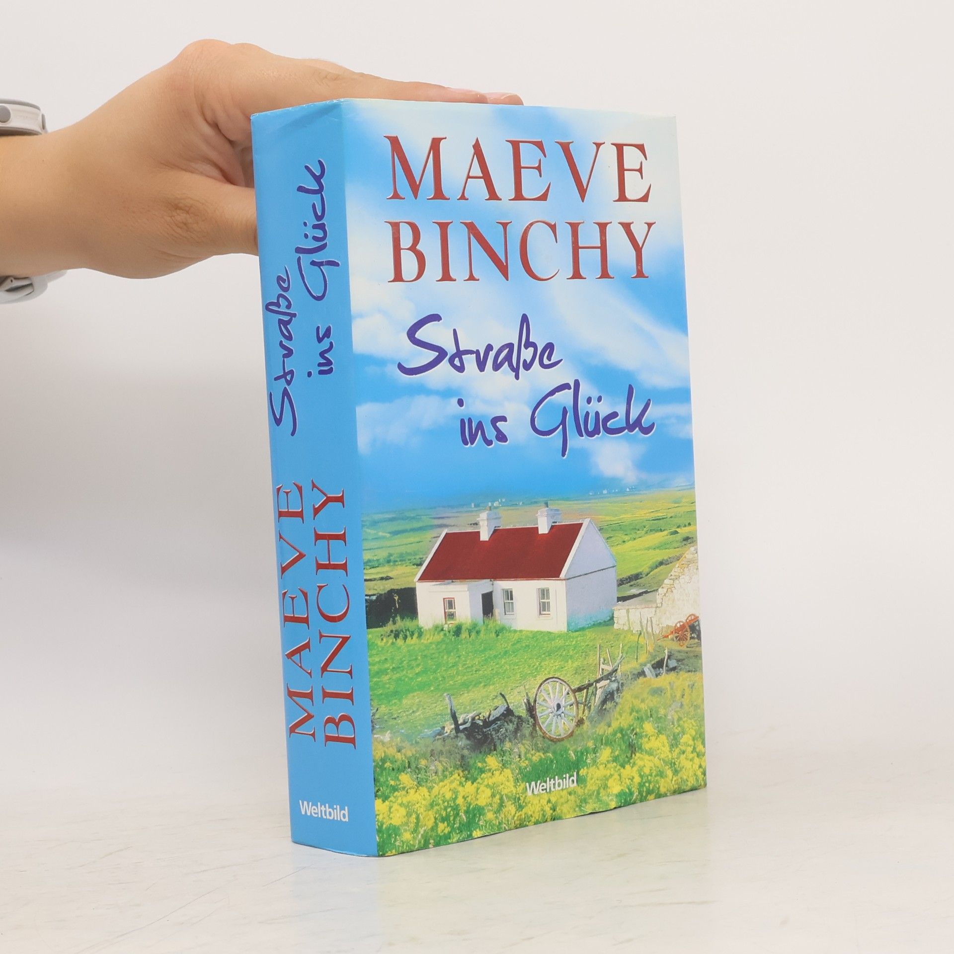 Maeve Binchy Straße ins Glück