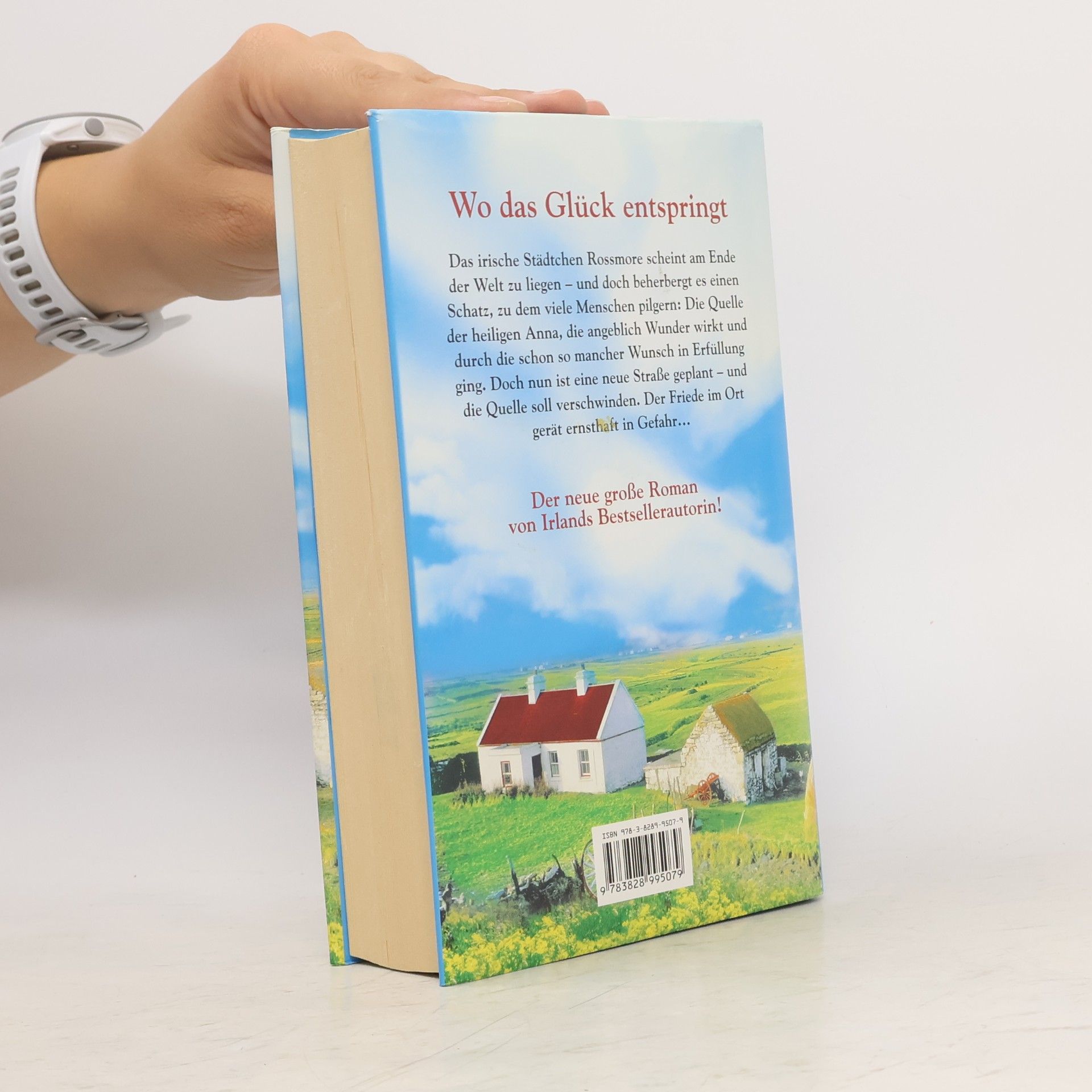 Maeve Binchy Straße ins Glück
