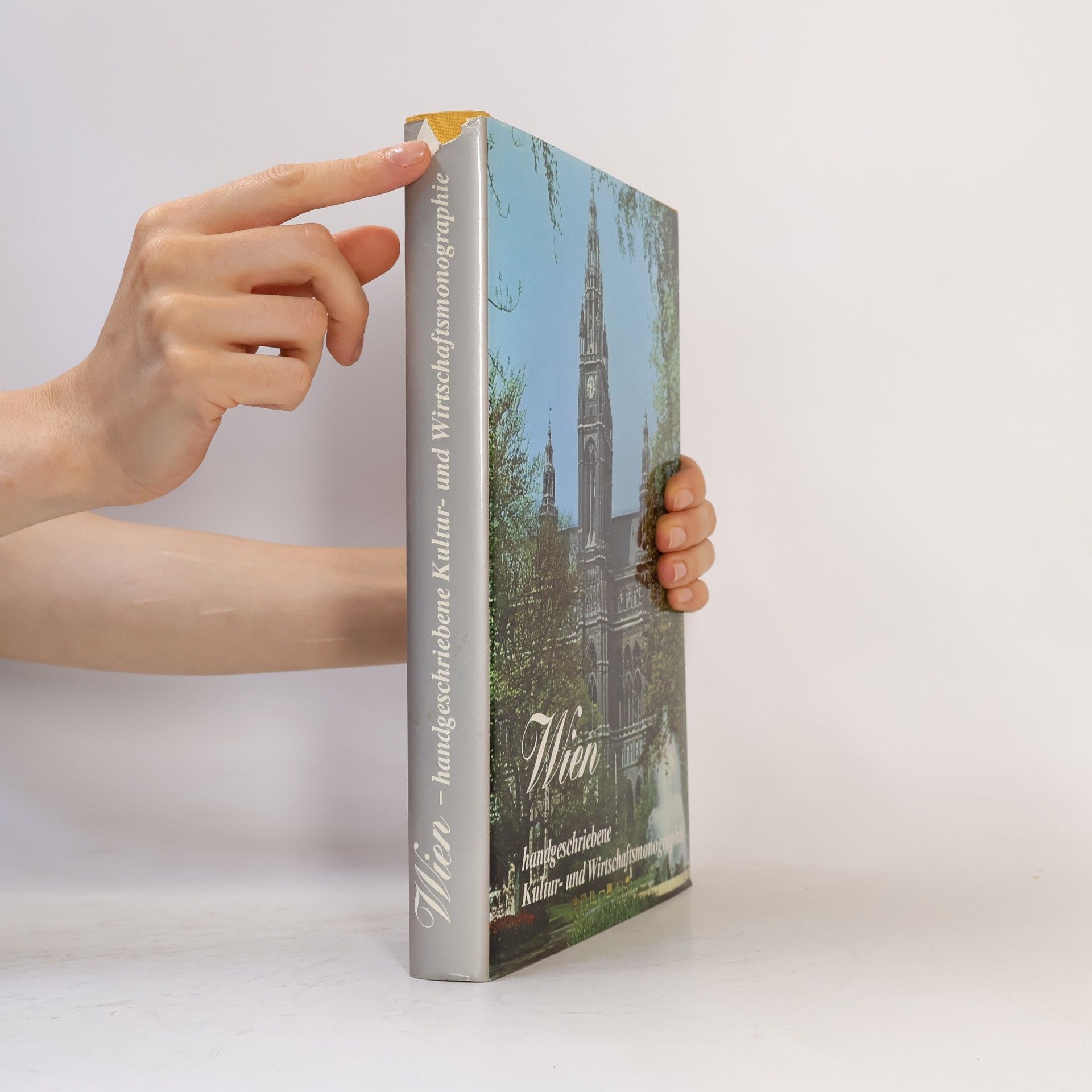 Autorenkollektiv Wien. Handgeschriebene Kultur und Wirtschaftsmonographie