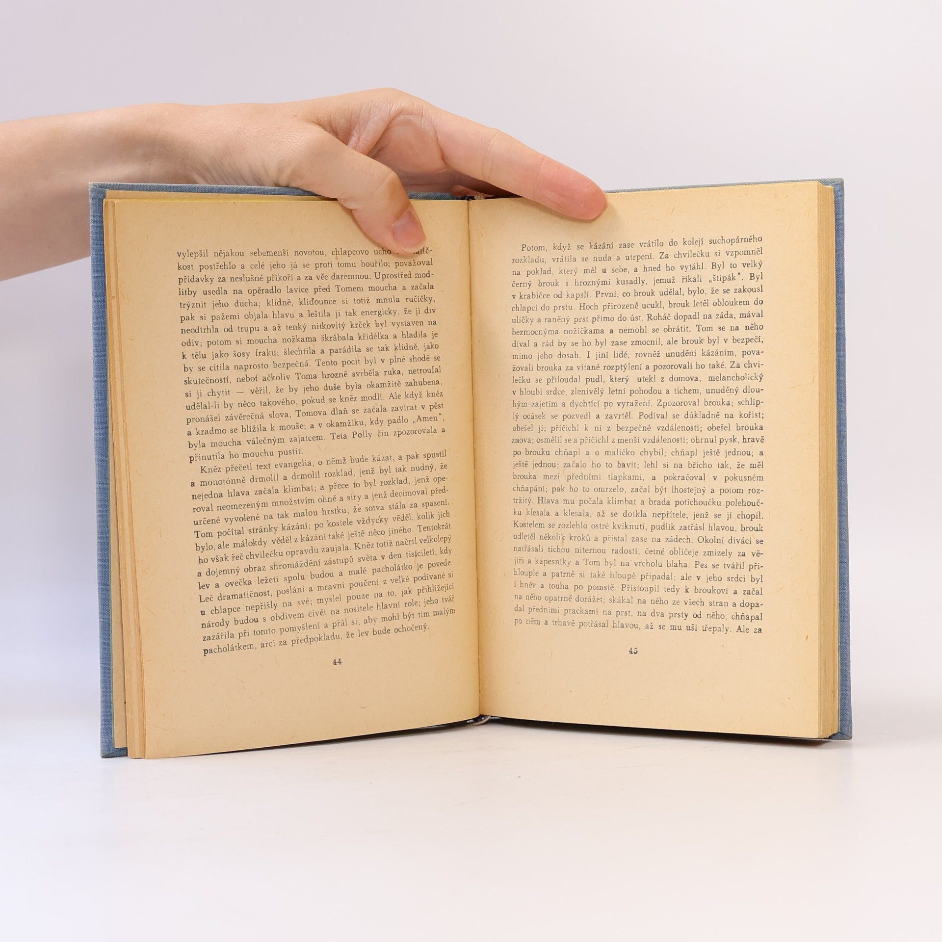 Mark Twain Dobrodružství Toma Sawyera