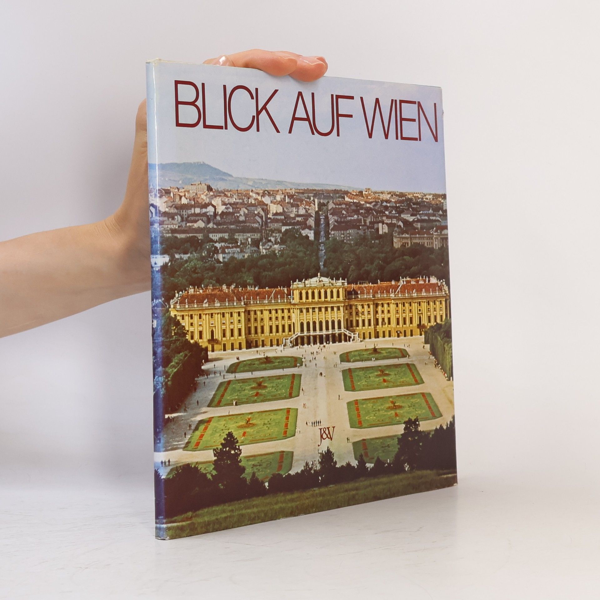 Ernst Hausner Blick auf Wien