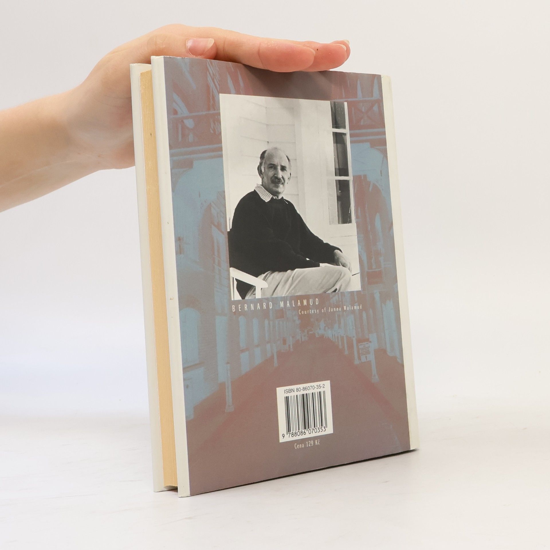 Bernard Malamud Nájemníci