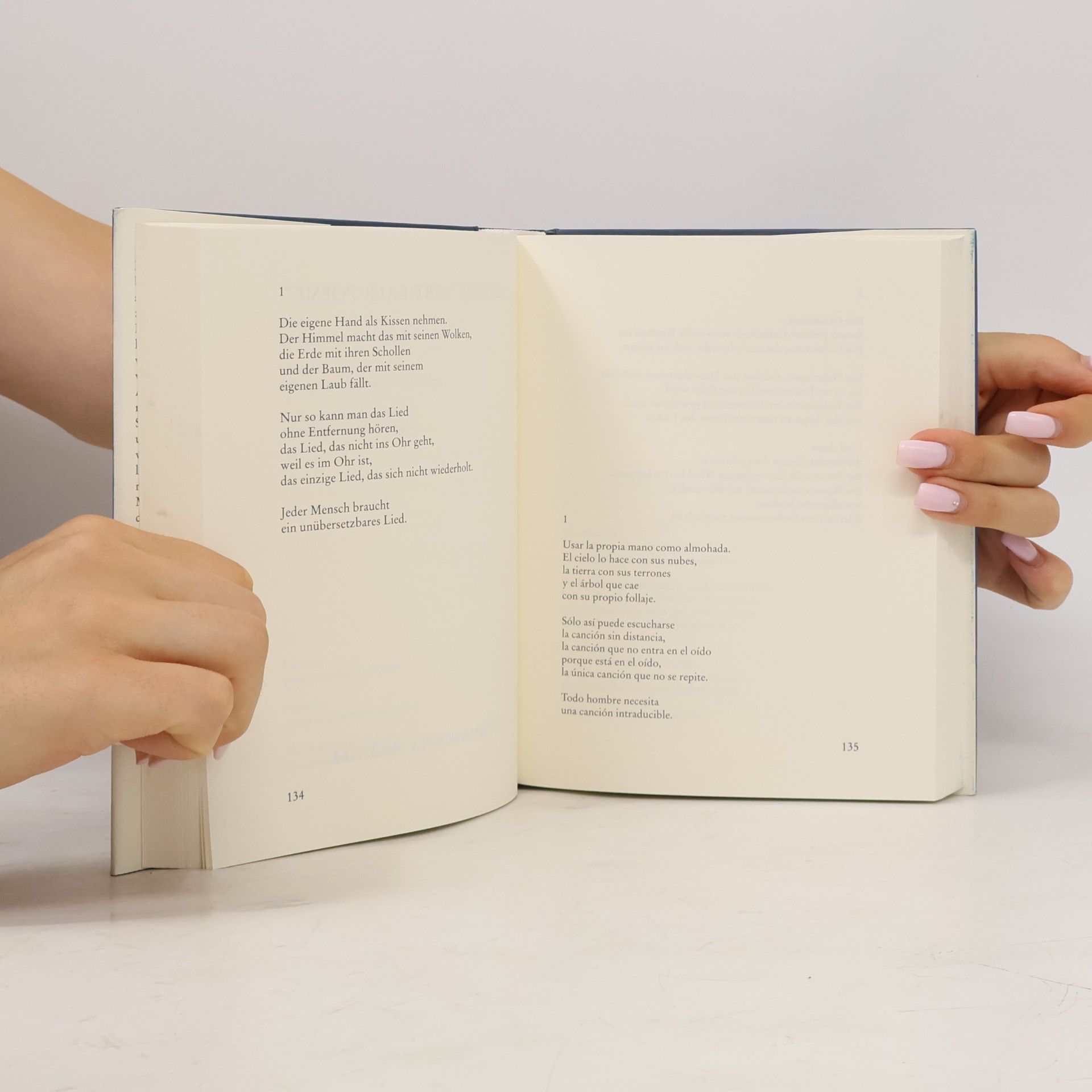 Roberto Juarroz Vertikale Poesie - Poesía vertical