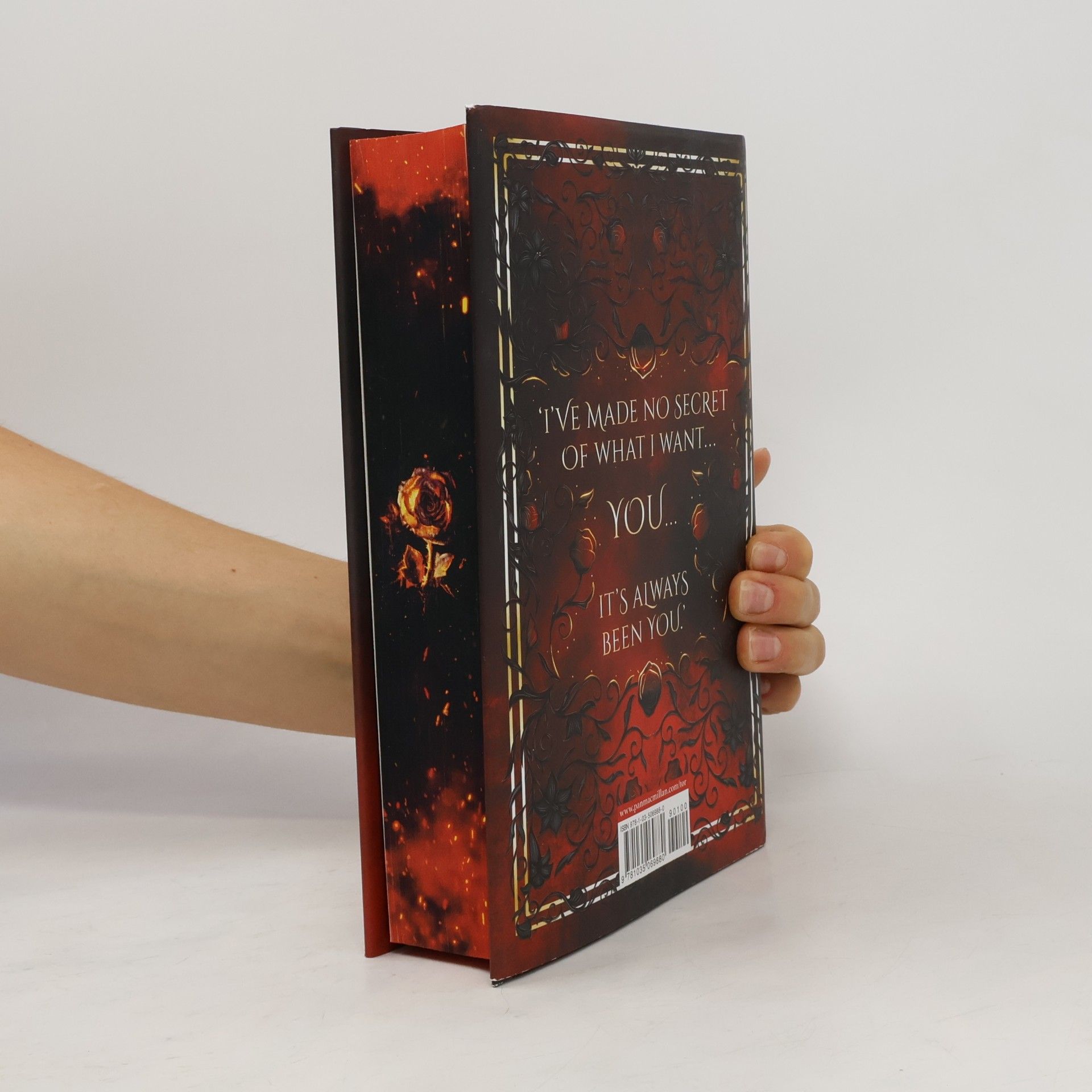 Helen Scheuerer The Ashes of Thezmar - 1: Iron & Embers