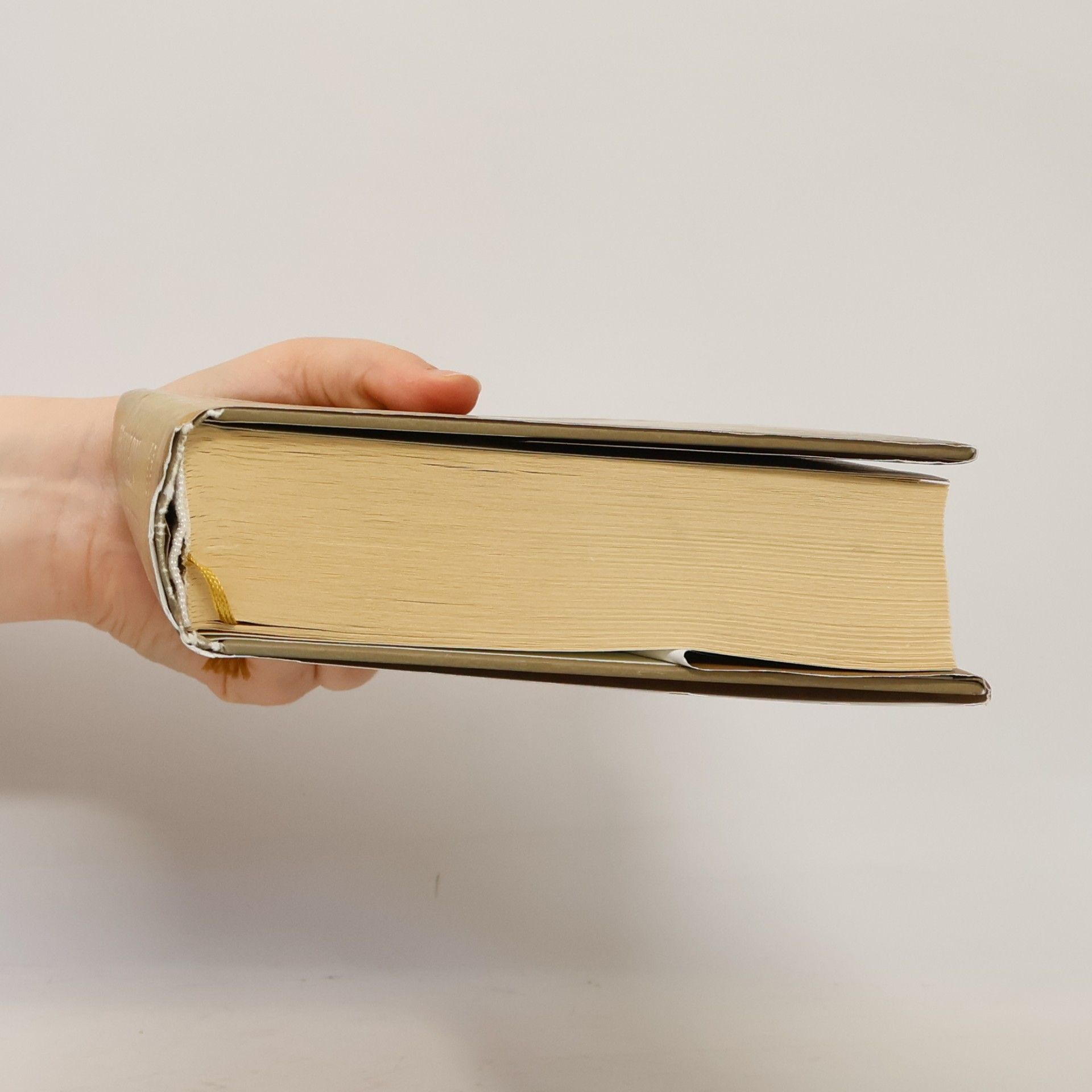 R. Scott Bakker Princ ničeho. Kniha druhá, Válečný prorok