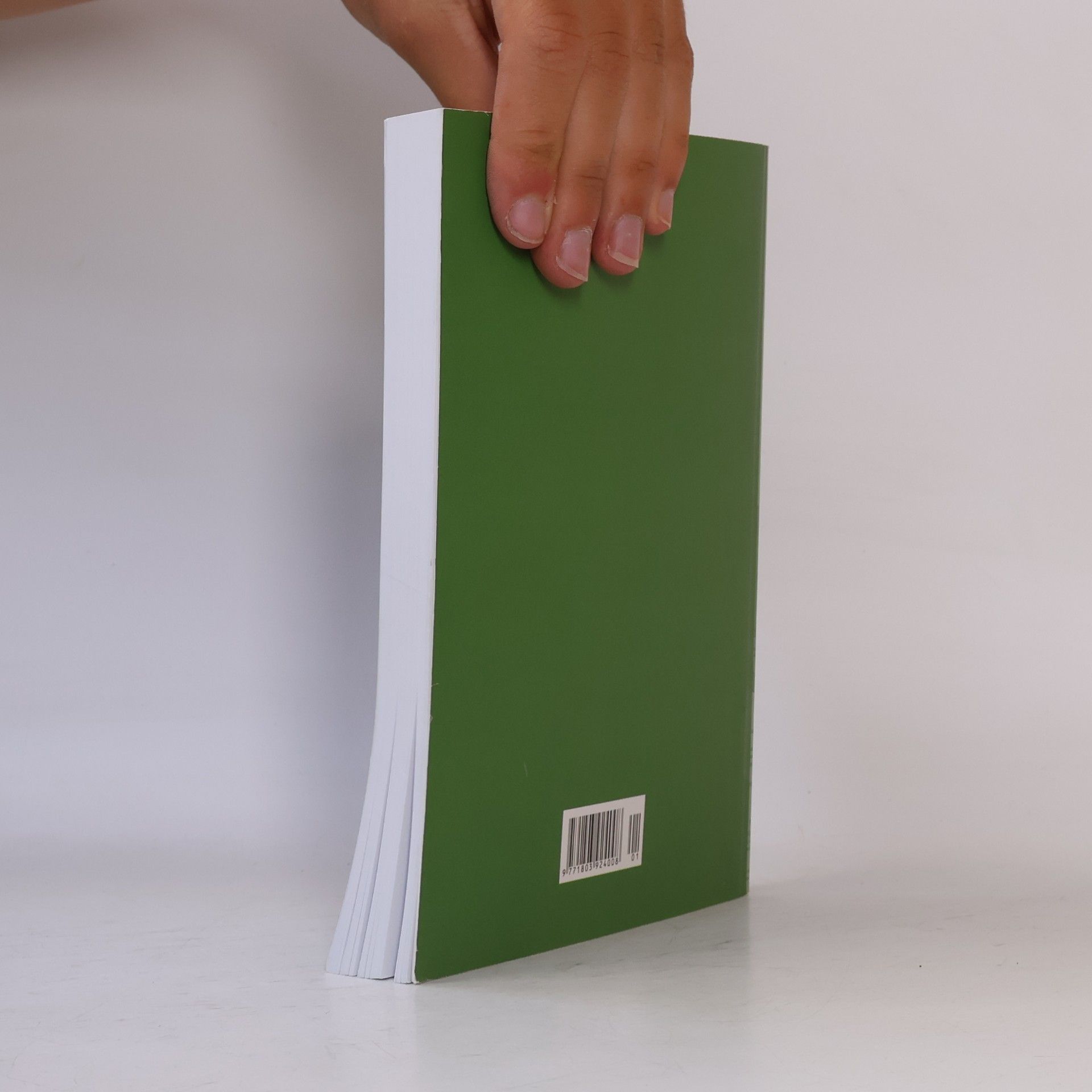 Various authors Střed Centre: Časopis pro mezioborová studia střední evropy 19. a 20. století; Právo na stát