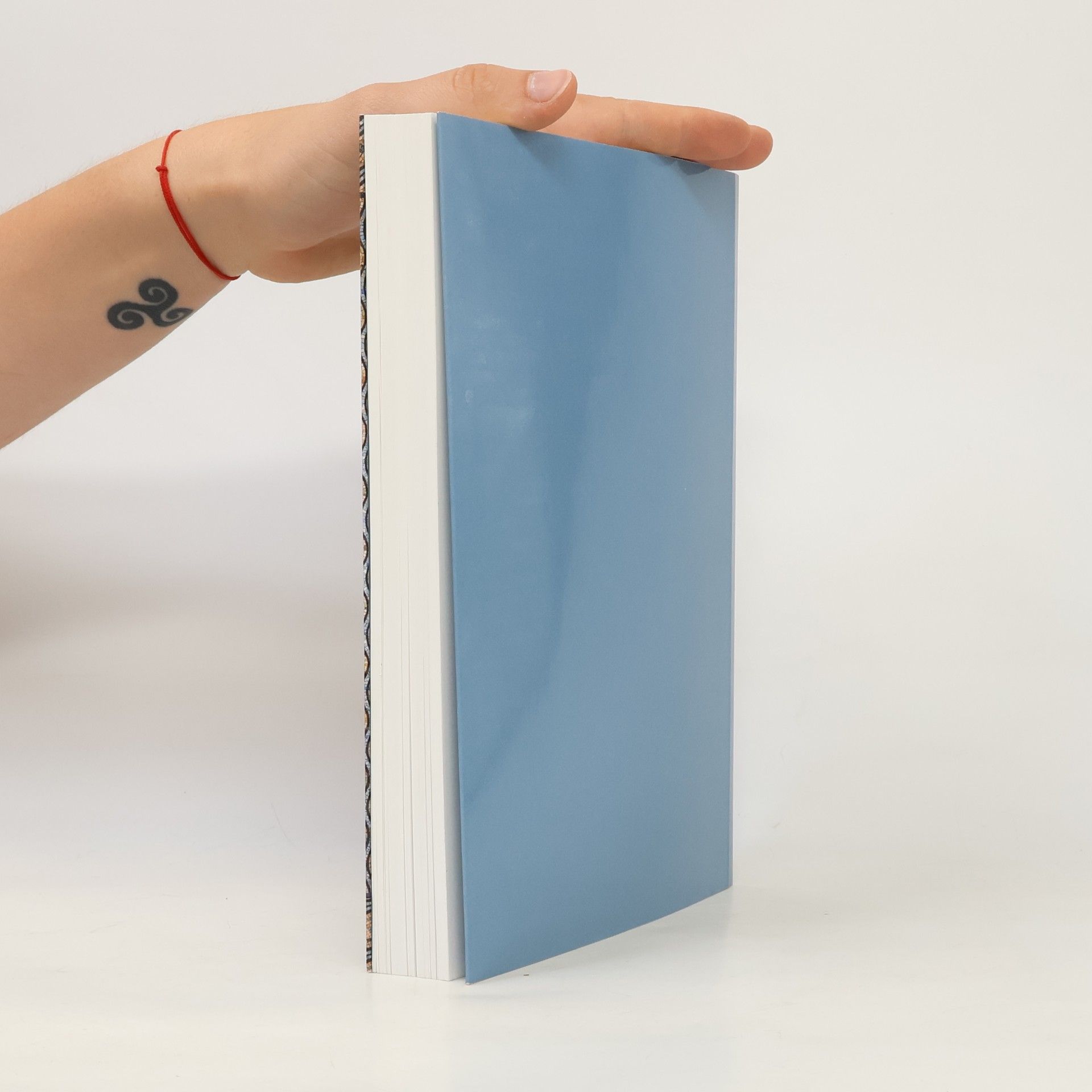 Klaus Hardering Kölner Domblatt Jahrbuch des Zentral-Dombau-Vereins