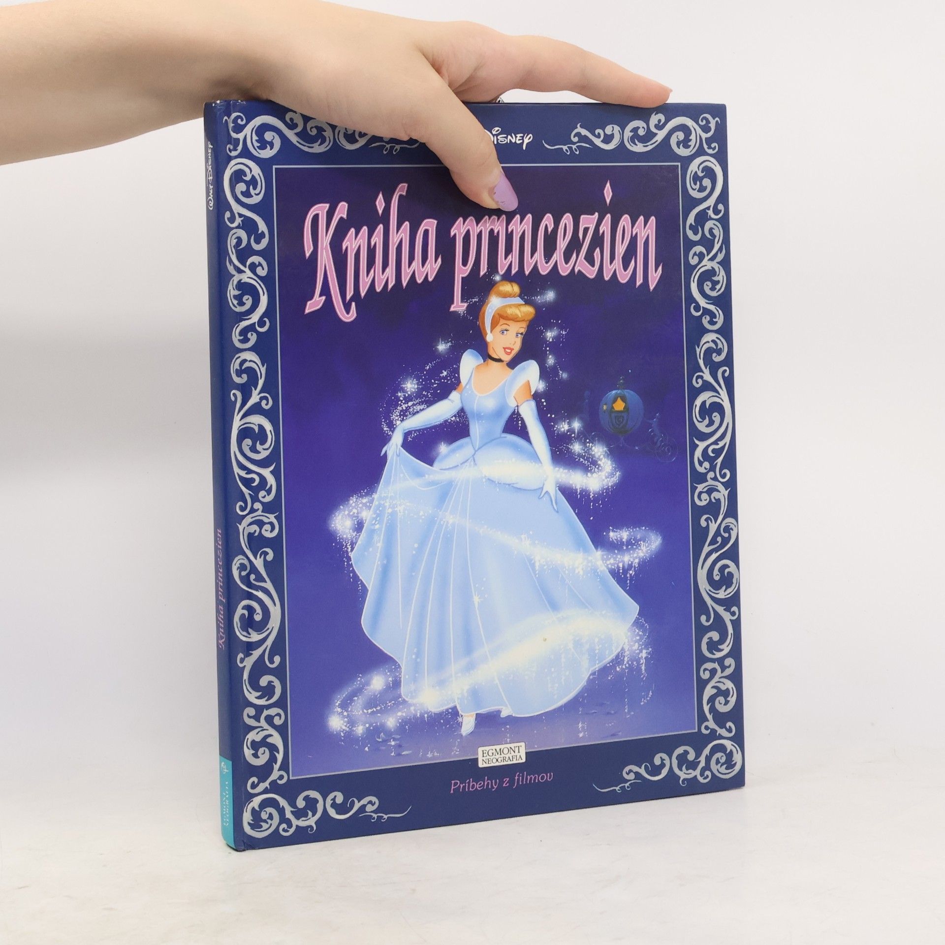 Various authors Kniha princezien