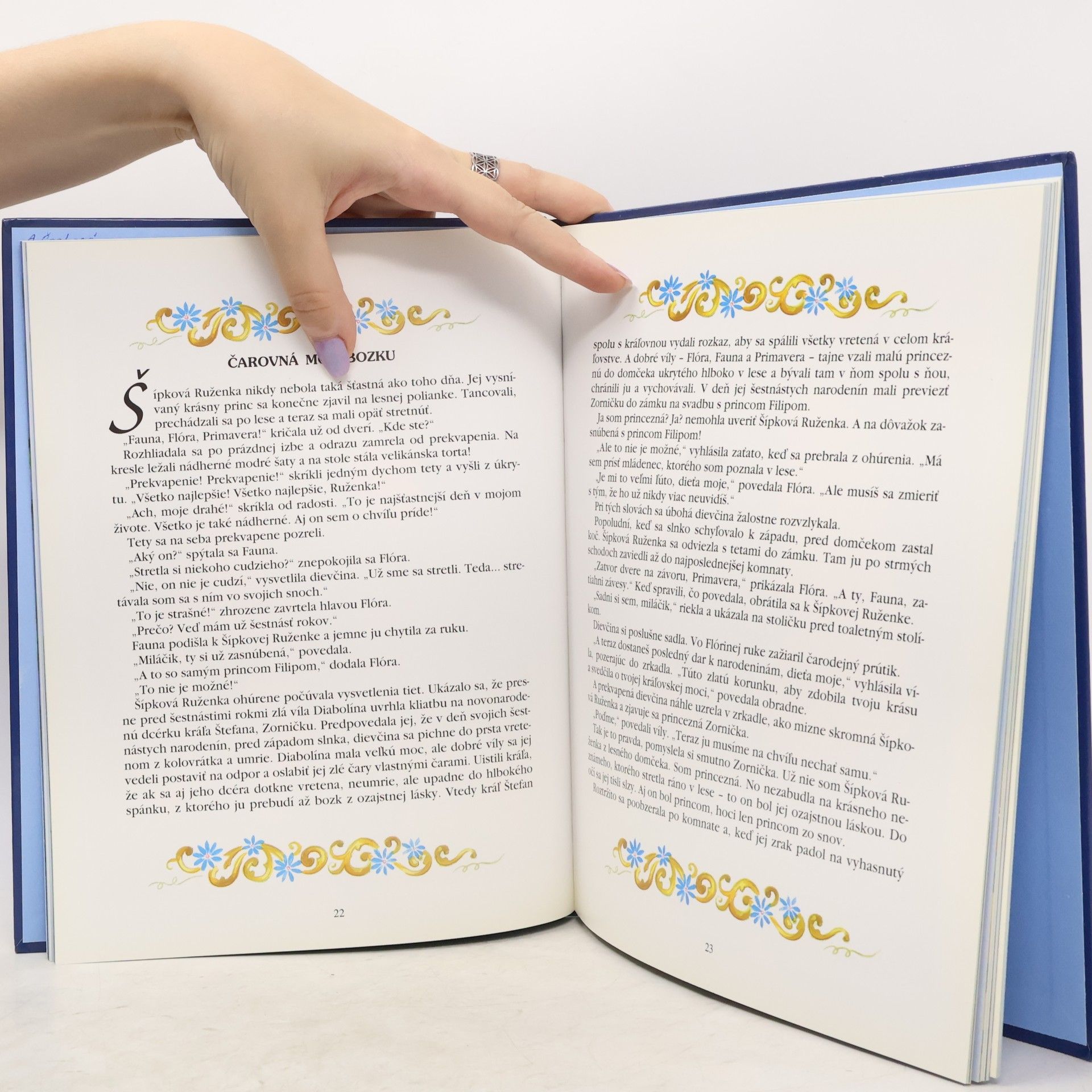 Various authors Kniha princezien