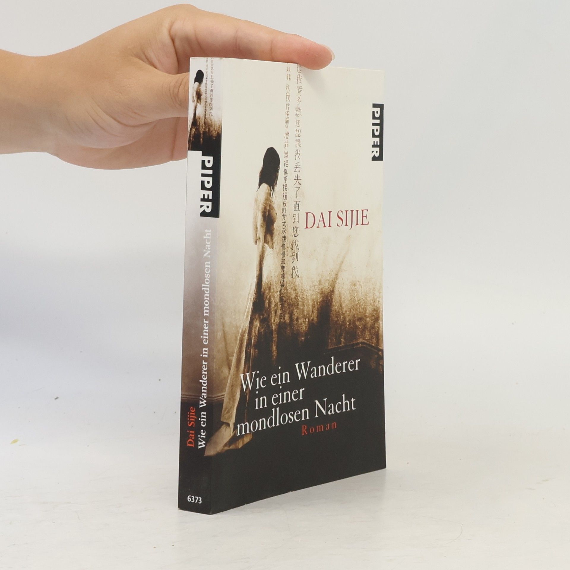 Dai Sijie Wie ein Wanderer in einer mondlosen Nacht