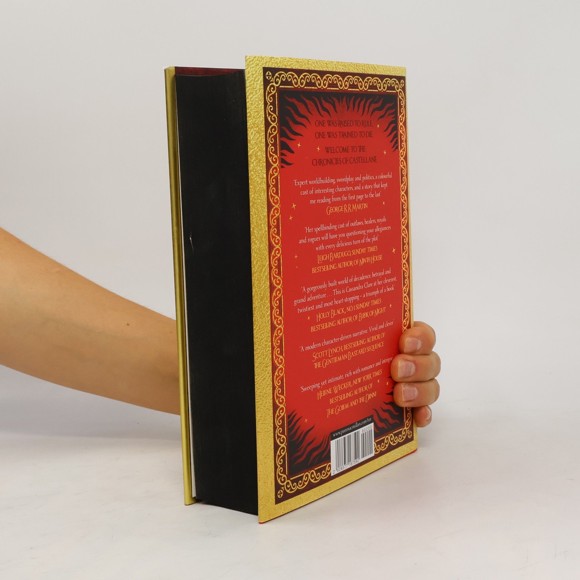 Cassandra Clare Sword Catcher
