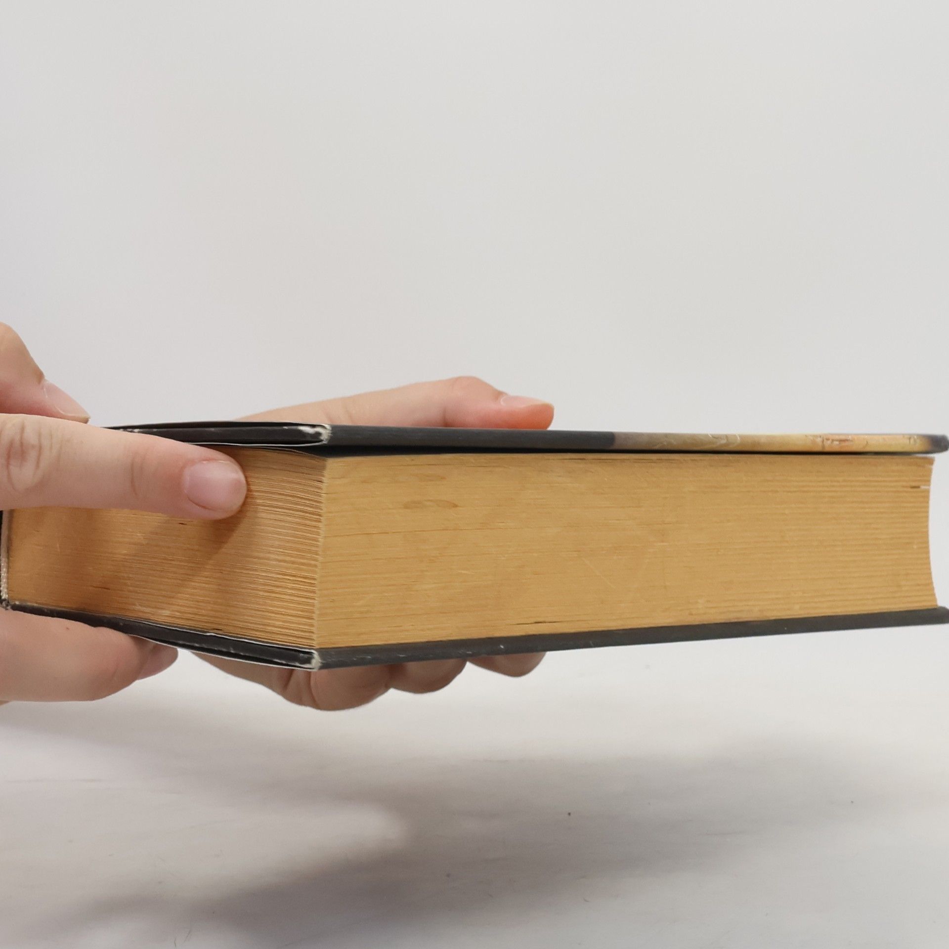 Chaim Potok Putování : dějiny Židů