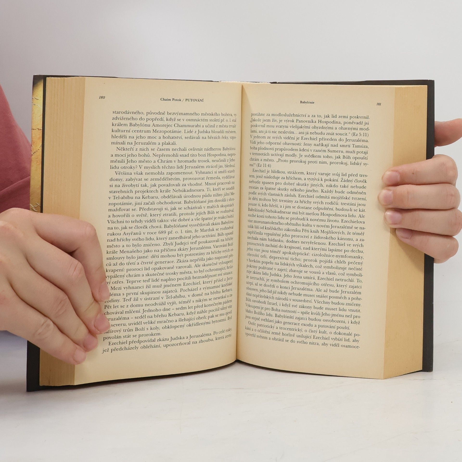 Chaim Potok Putování : dějiny Židů
