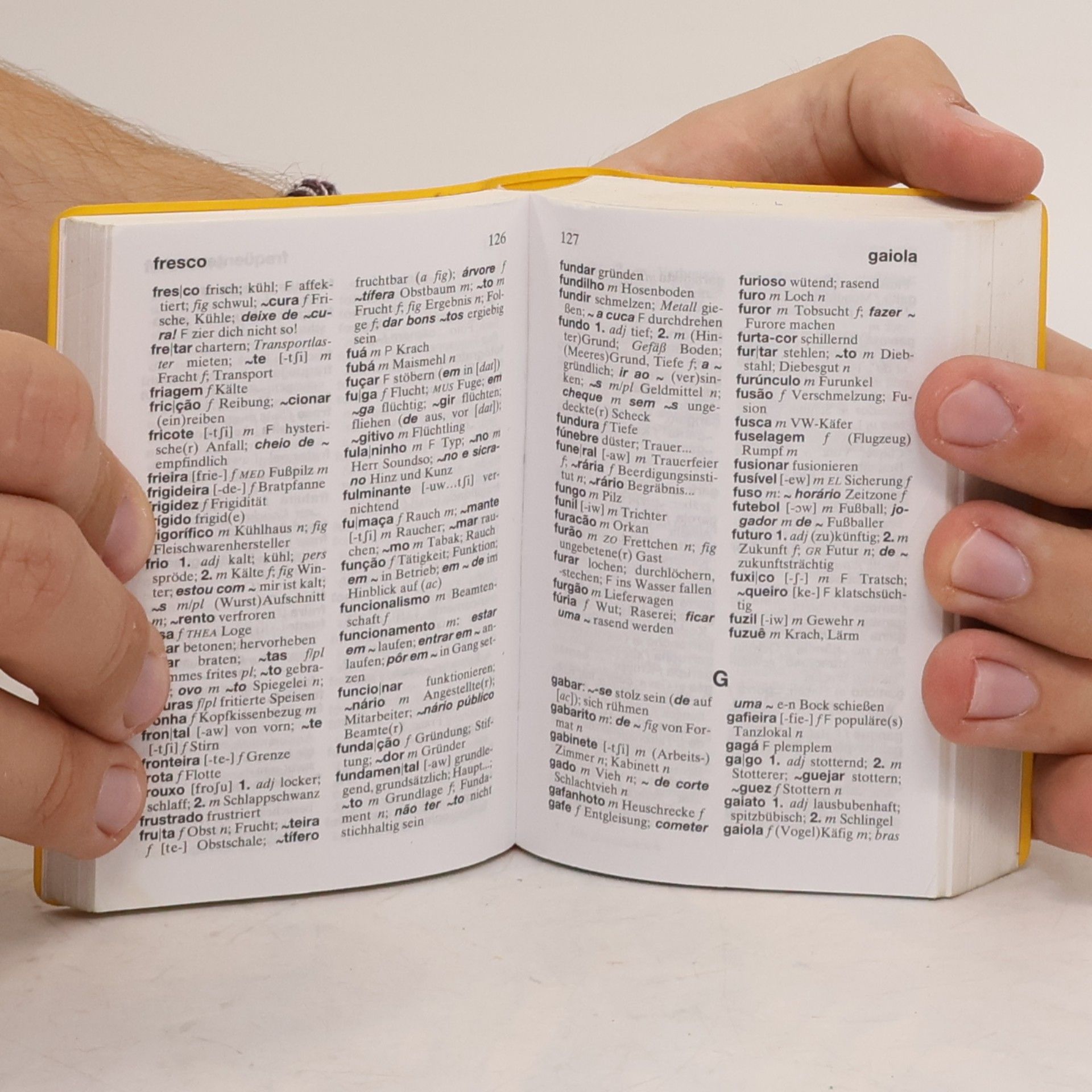 Elza Wagner-Carrozza Langenscheidts Universal-Wörterbuch brasilianisches Portugiesisch