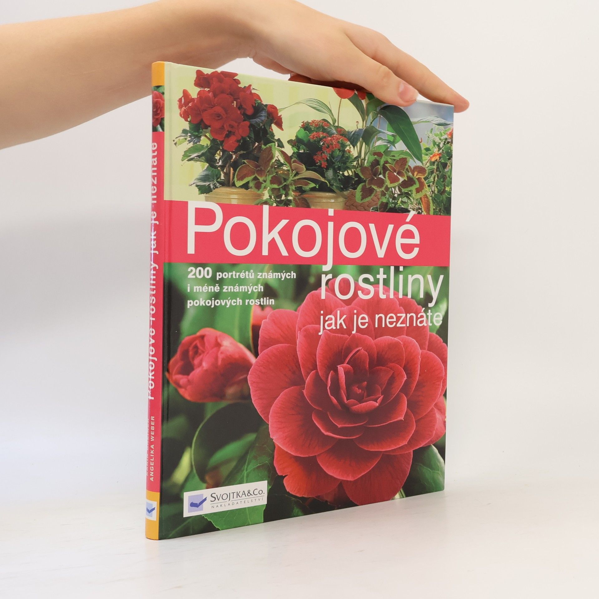 Annette Hempfling Pokojové rostliny jak je neznáte