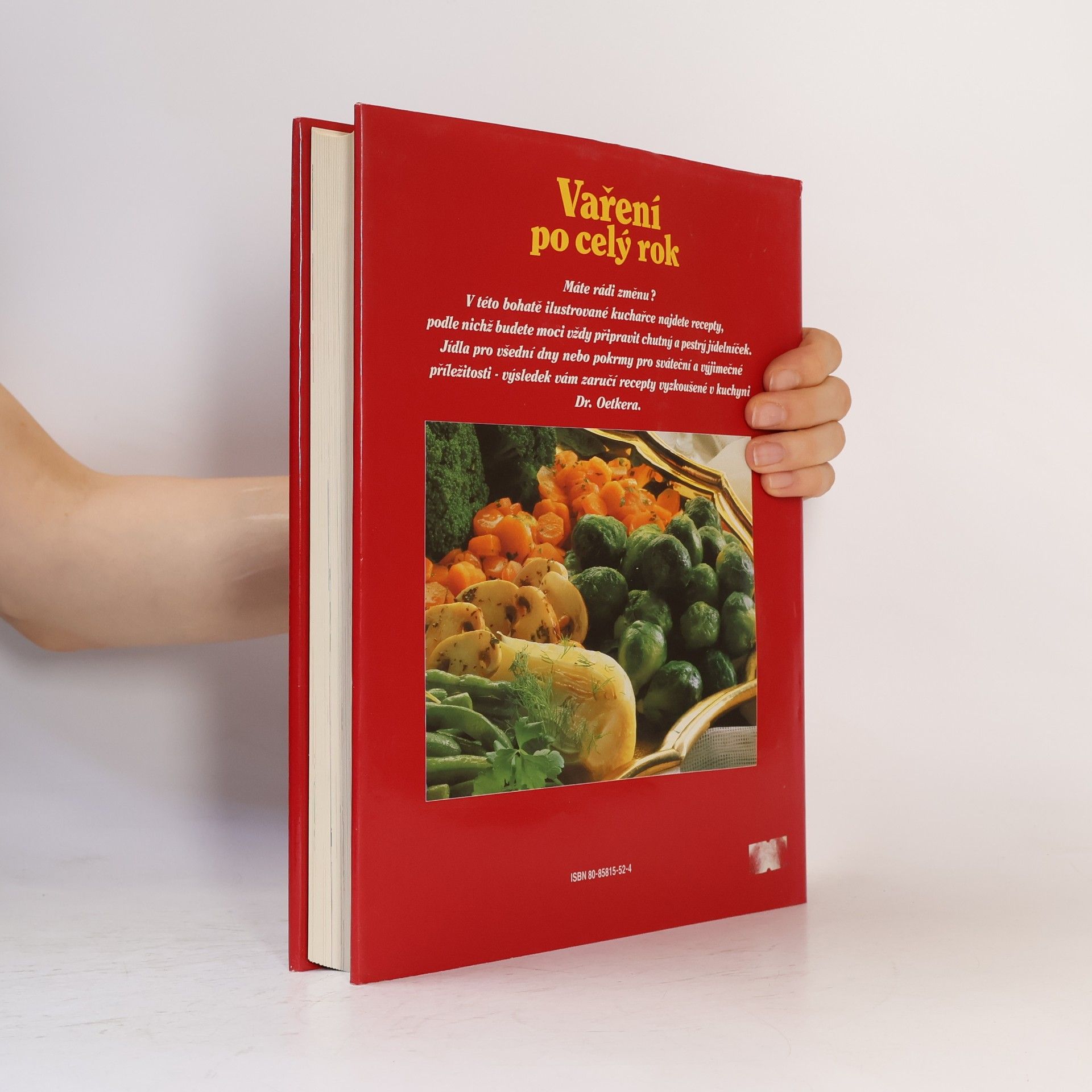Autorenkollektiv Vaření po celý rok. Praktický průvodce