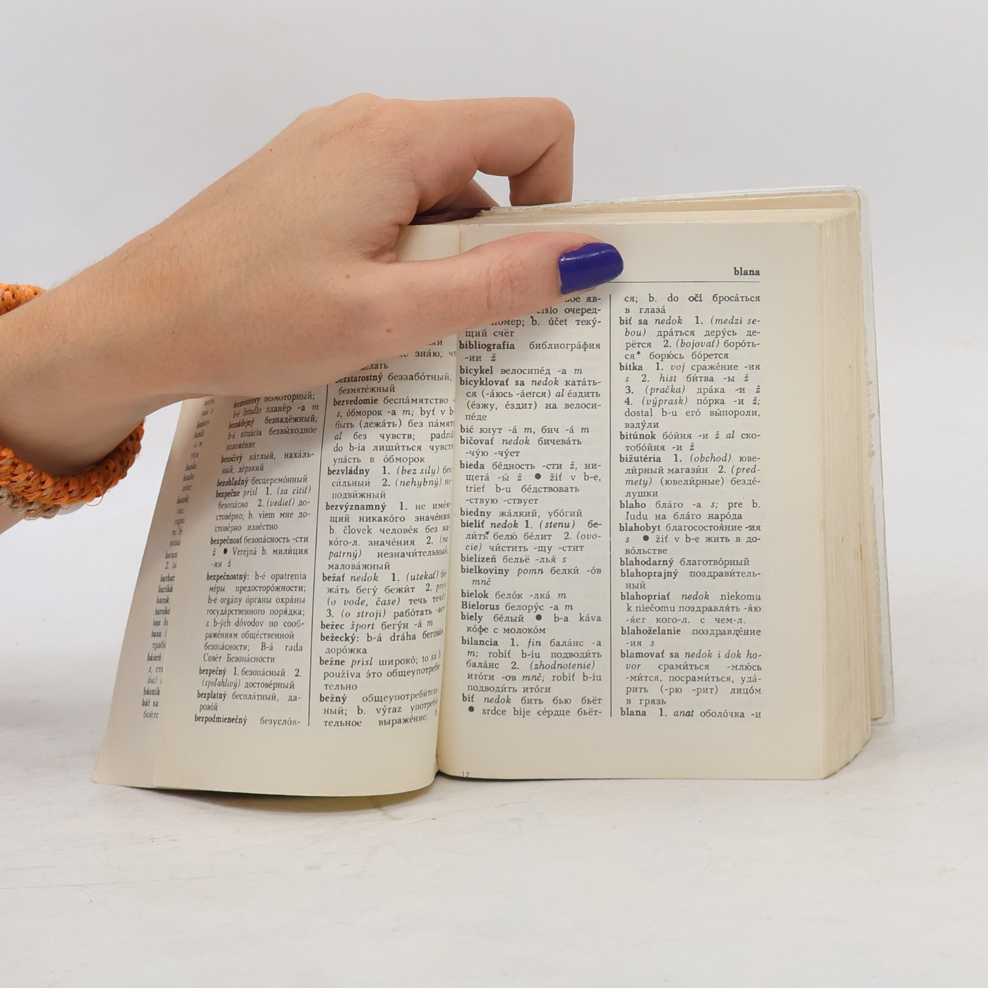 Autorenkollektiv Rusko-slovenský, slovensko-ruský vreckový slovník