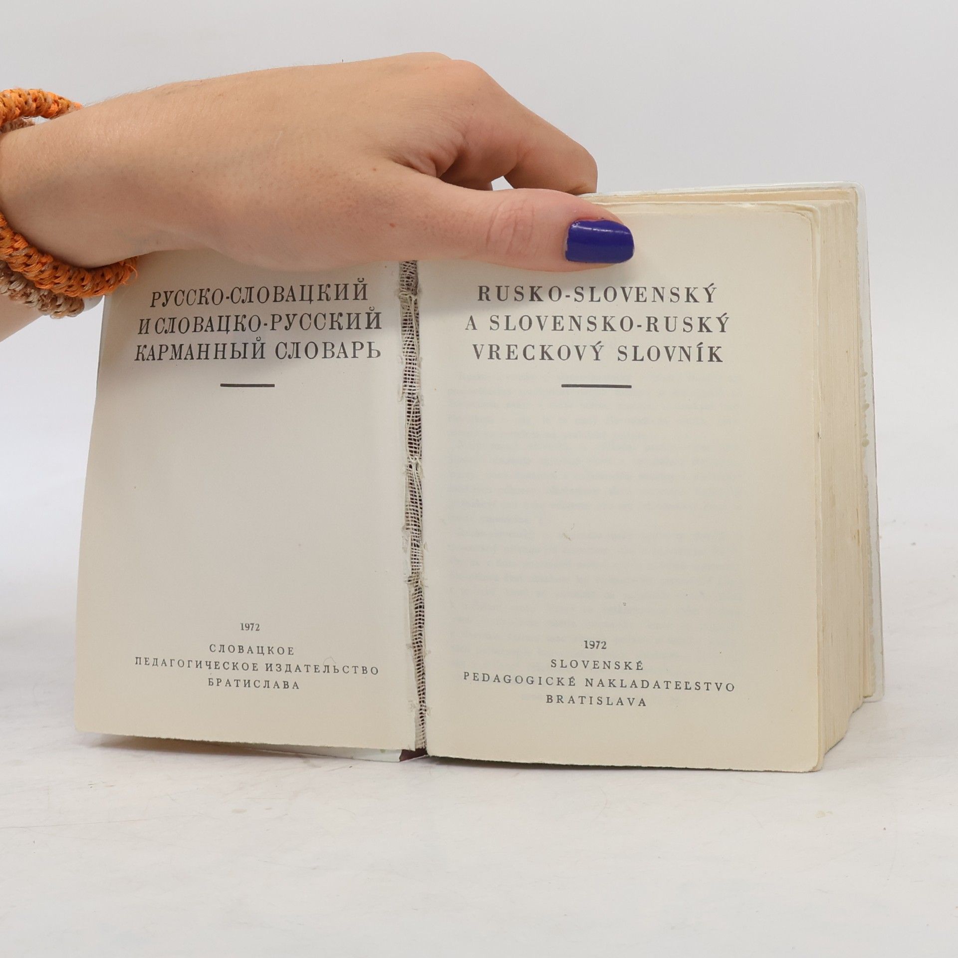 Autorenkollektiv Rusko-slovenský, slovensko-ruský vreckový slovník