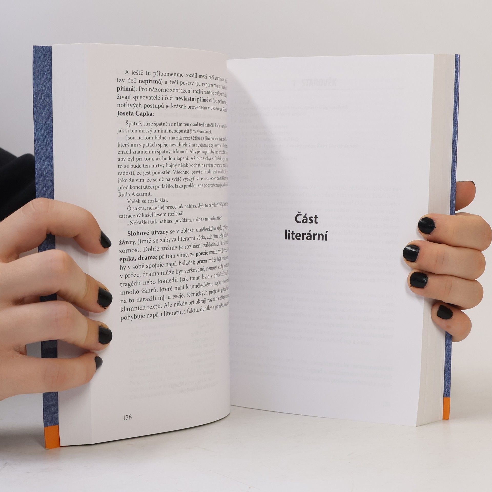Bohuslav Hoffmann Český jazyk. Česká a světová literatura. Pro maturanty a zájemce o studium na vysokých školách