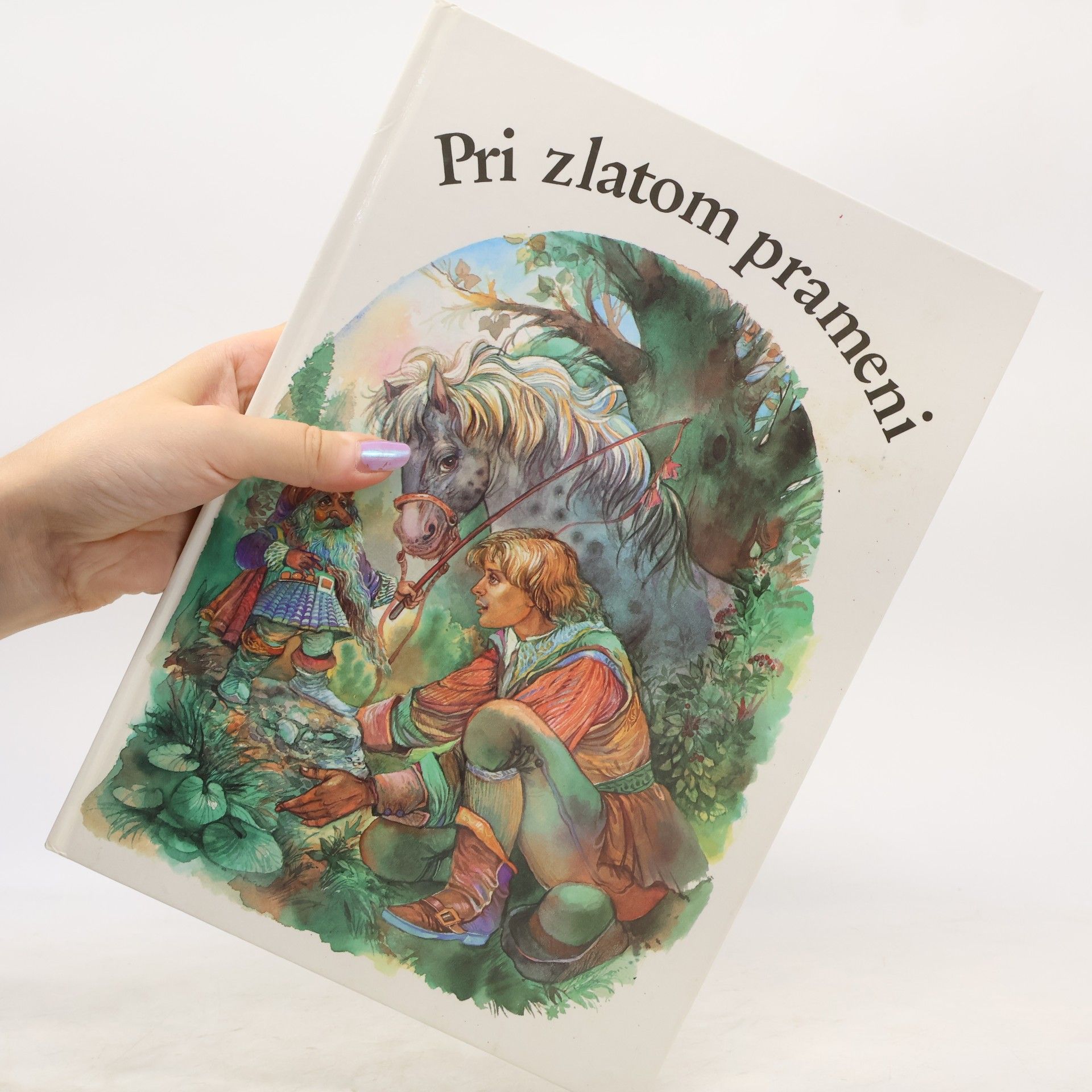 Autorenkollektiv Pri zlatom prameni
