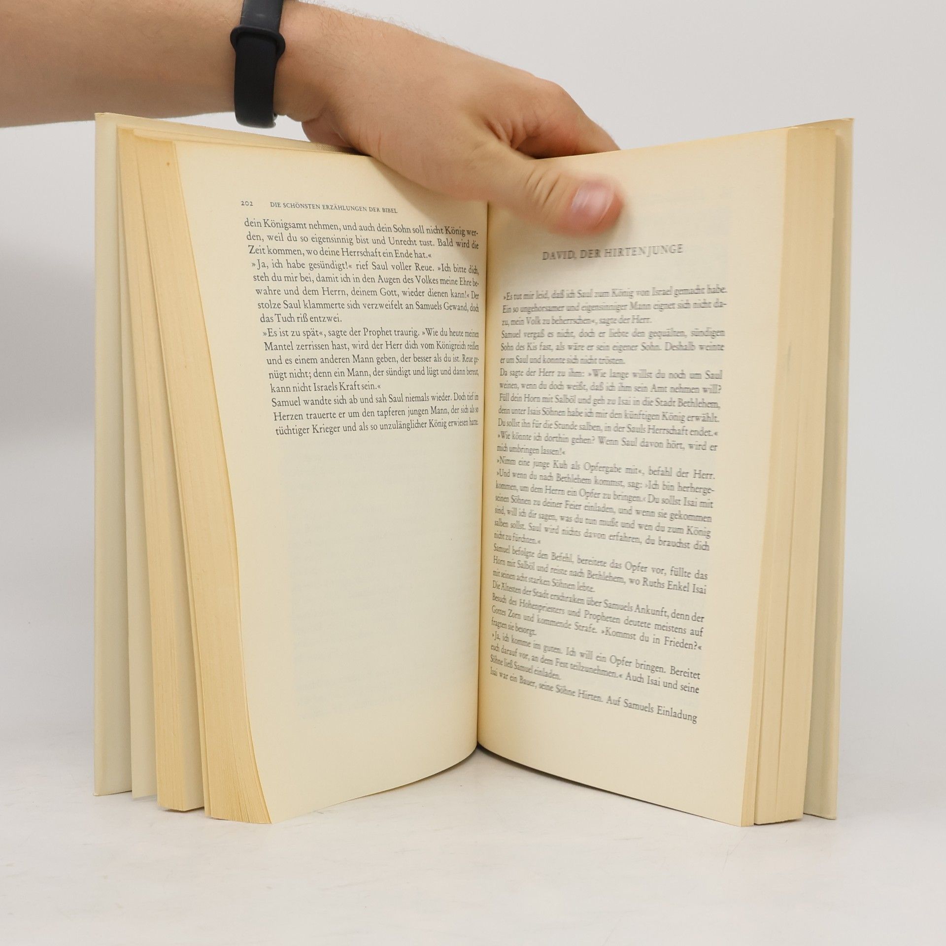 Pearl S. Buck Die schönsten Erzählungen der Bibel