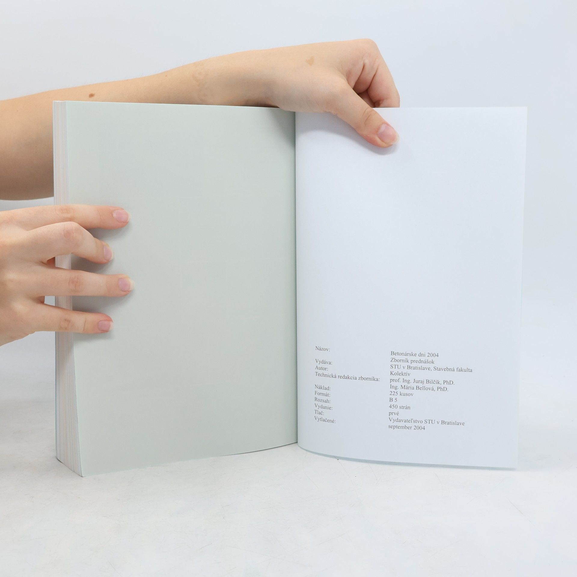 Collectif d'auteurs Betonárske dni 2004