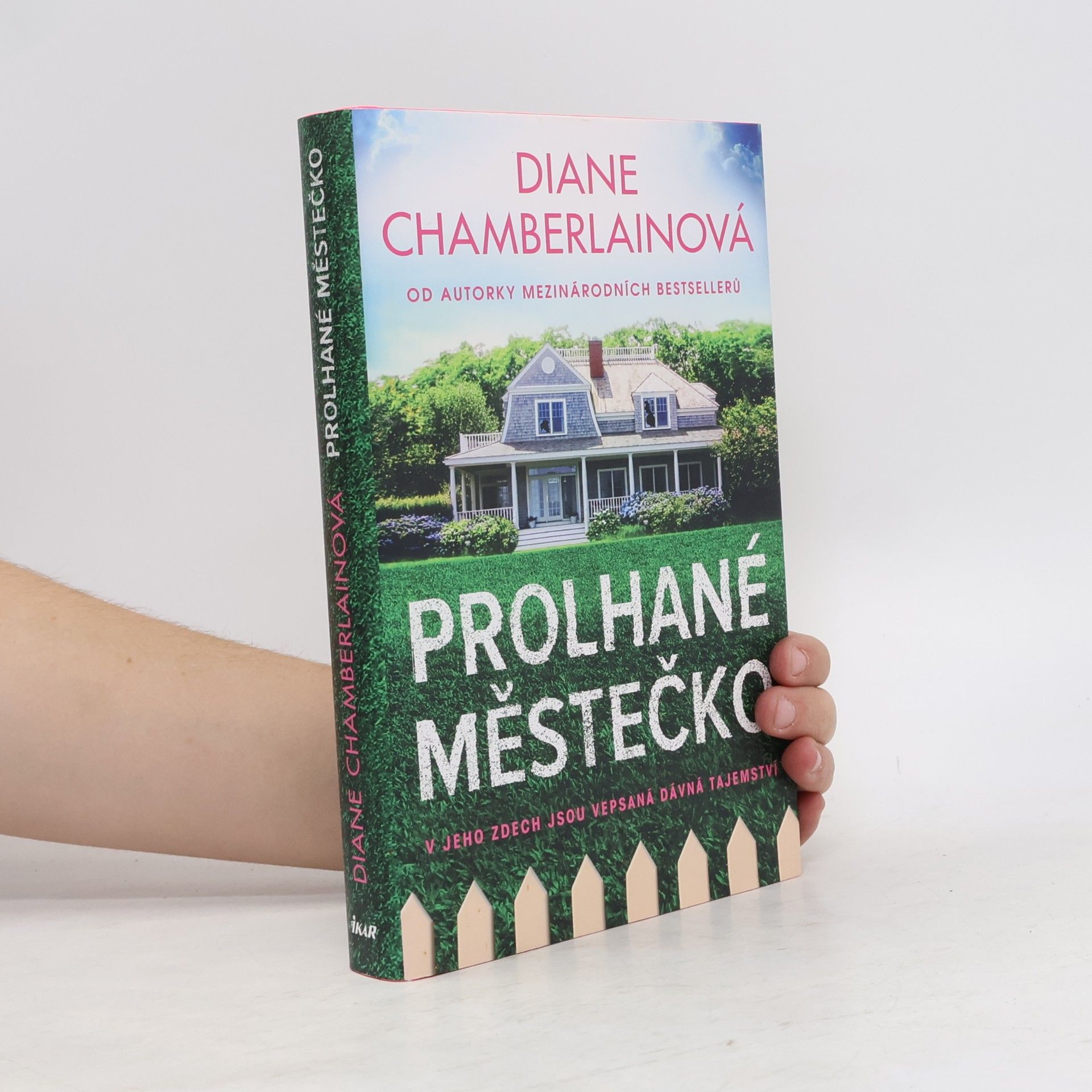 Diane Chamberlain Prolhané městečko