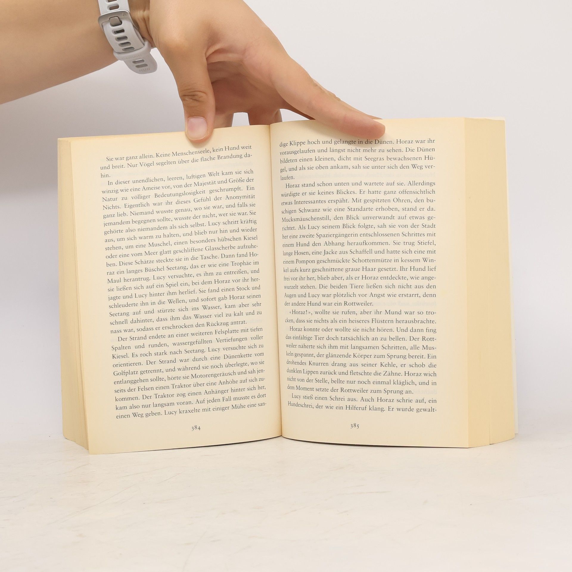 Rosamunde Pilcher Wintersonne