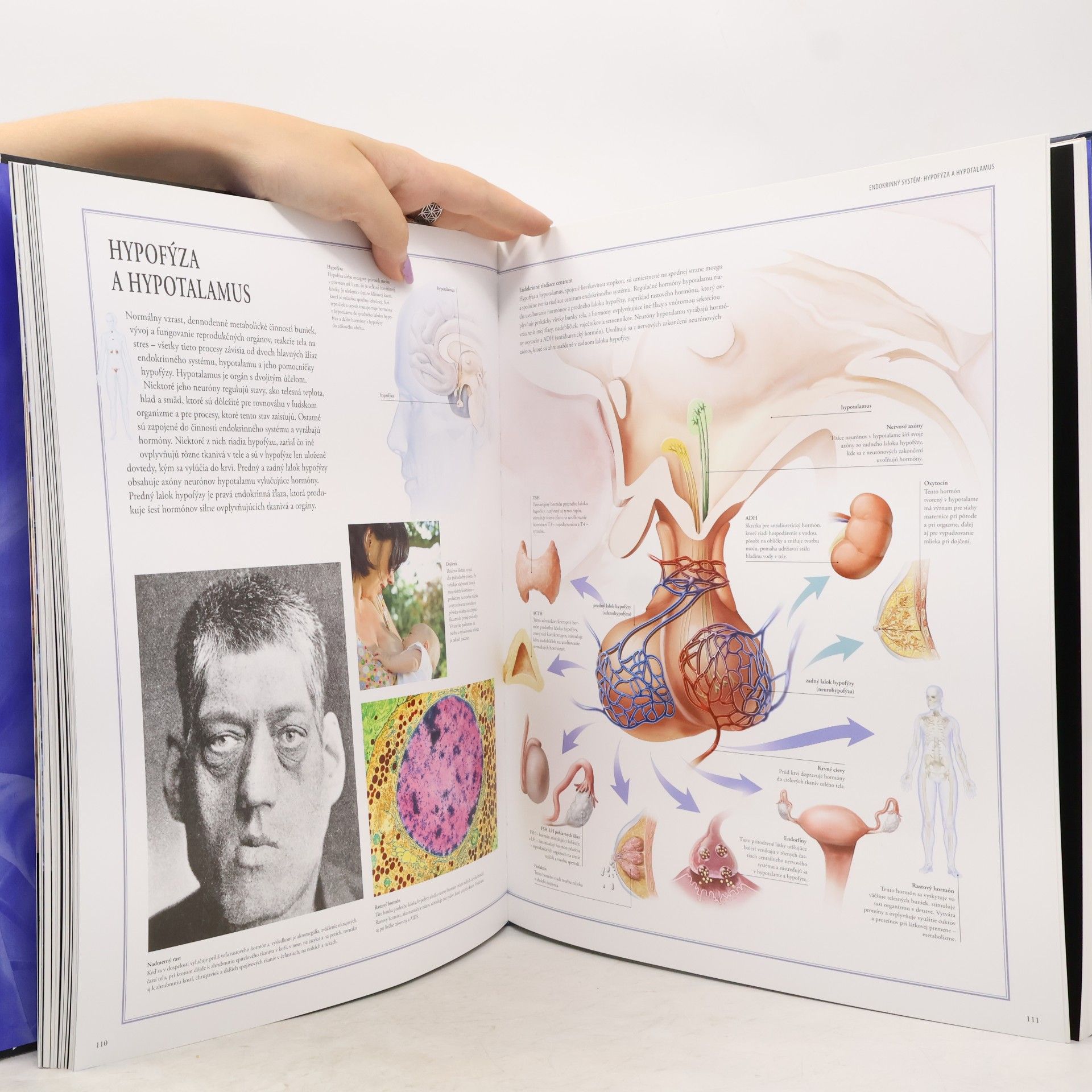 Beverly McMillan Veľký ilustrovaný atlas ľudského tela
