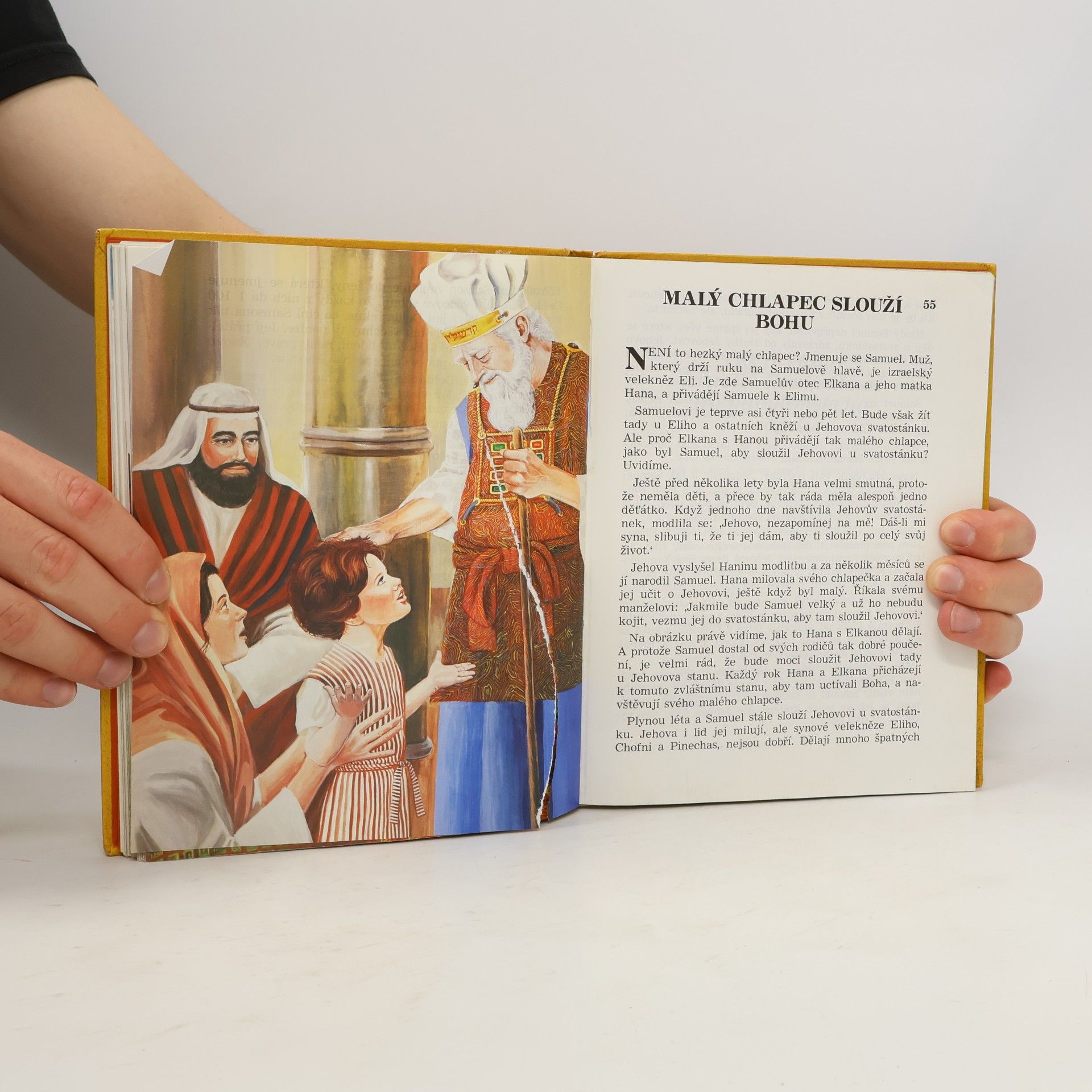 Kolektiv autorů Moje kniha Biblických příběhů