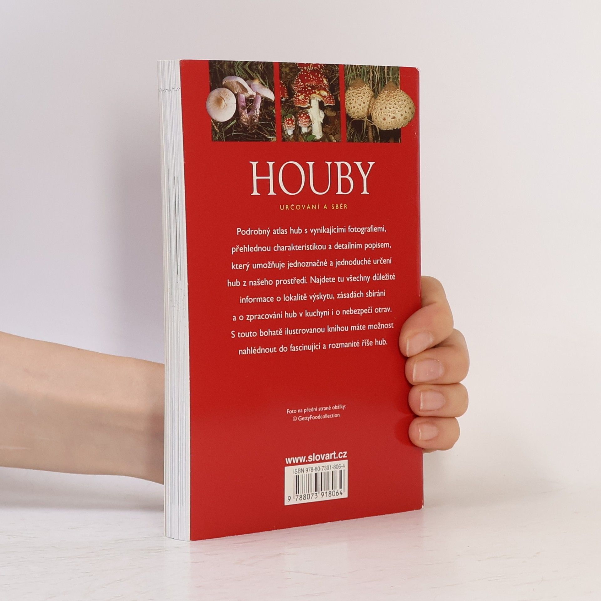 Till R. Lohmeyer Houby : [určování a sběr]