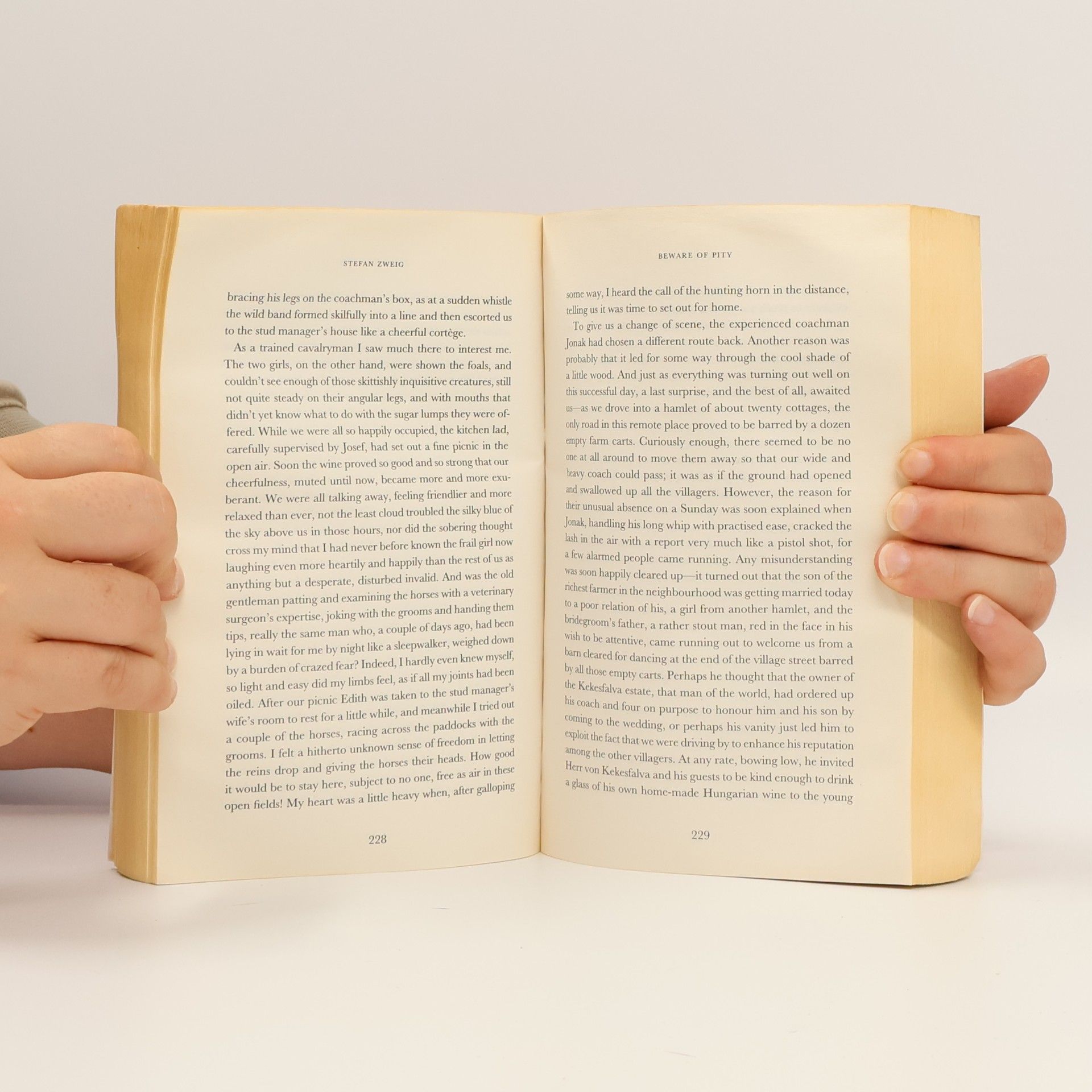 Stefan Zweig Beware of Pity