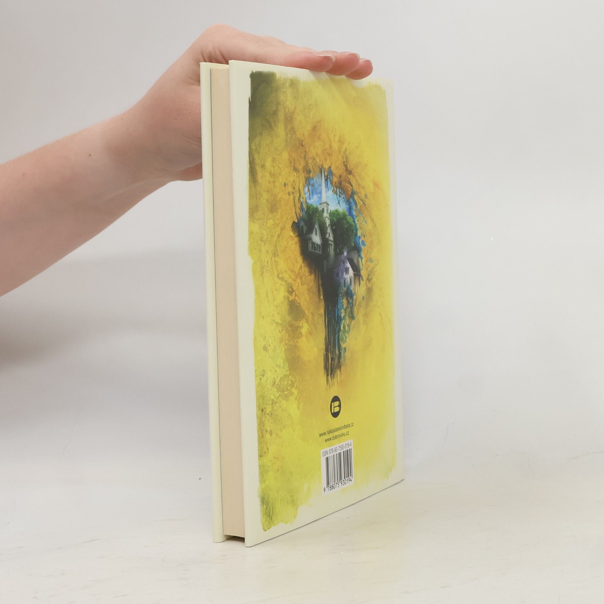 Stephen King Kouzelná skříňka pro Gwendy