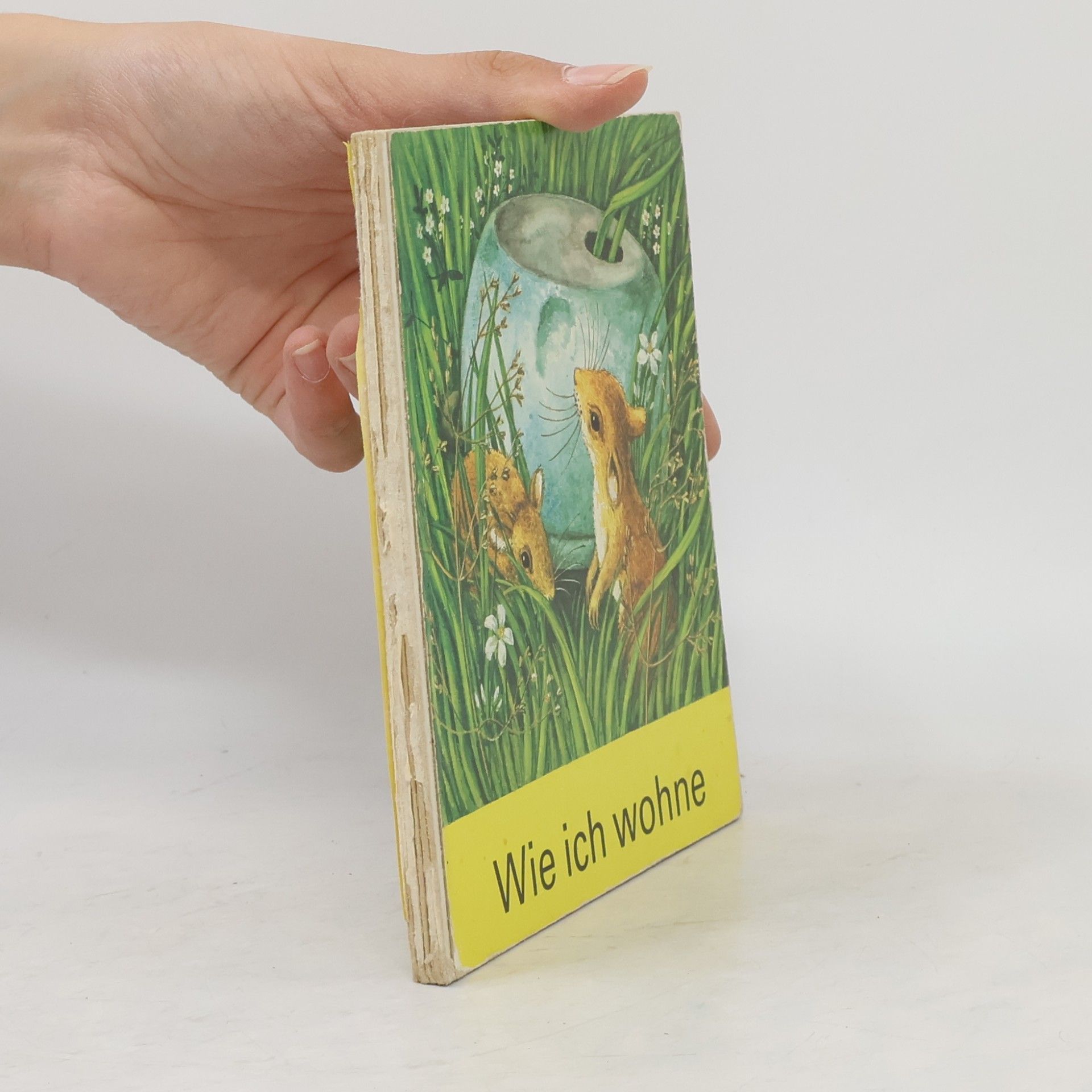 Wie ich wohne