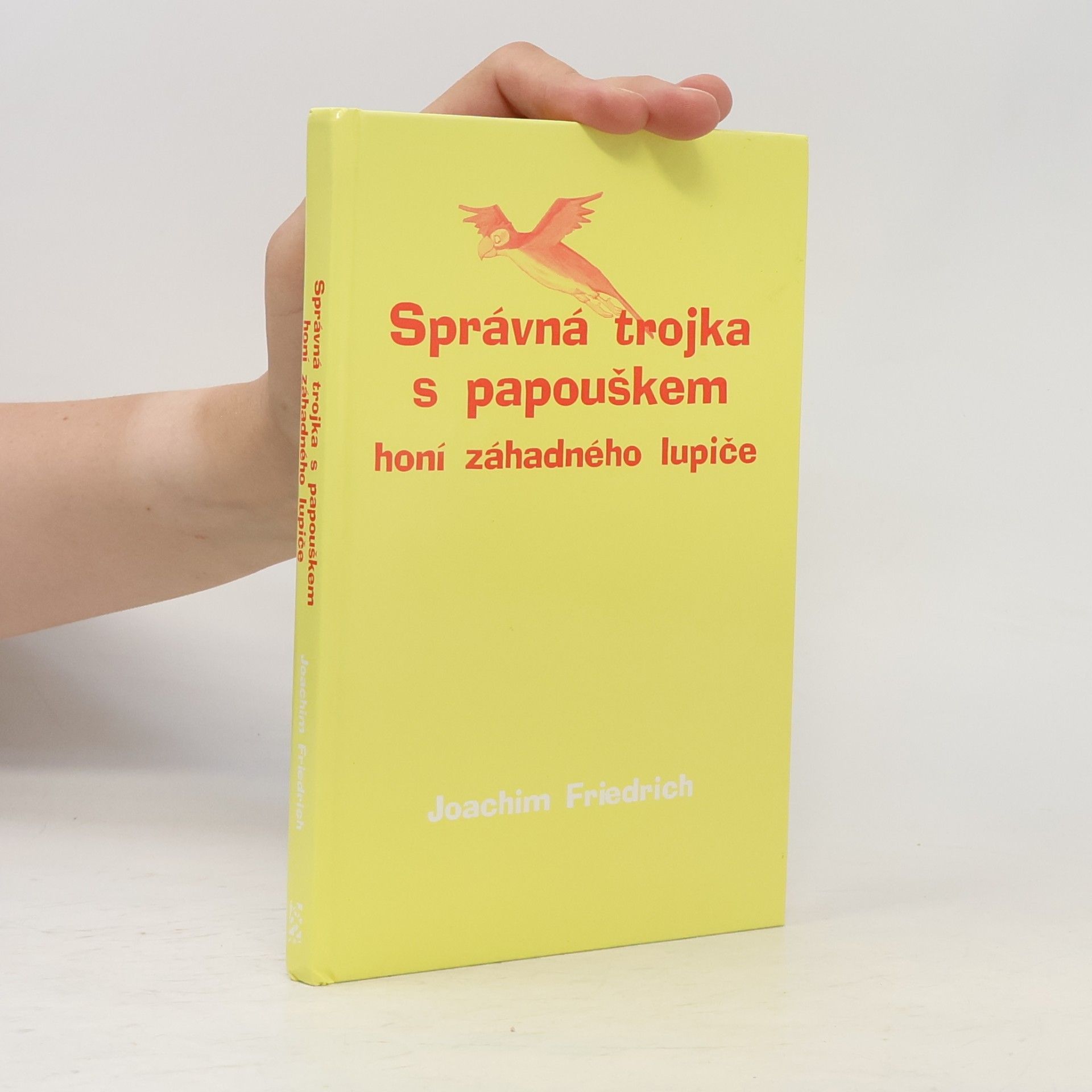 Joachim-Friedrich Kapp Správná trojka s papouškem honí záhadného lupiče