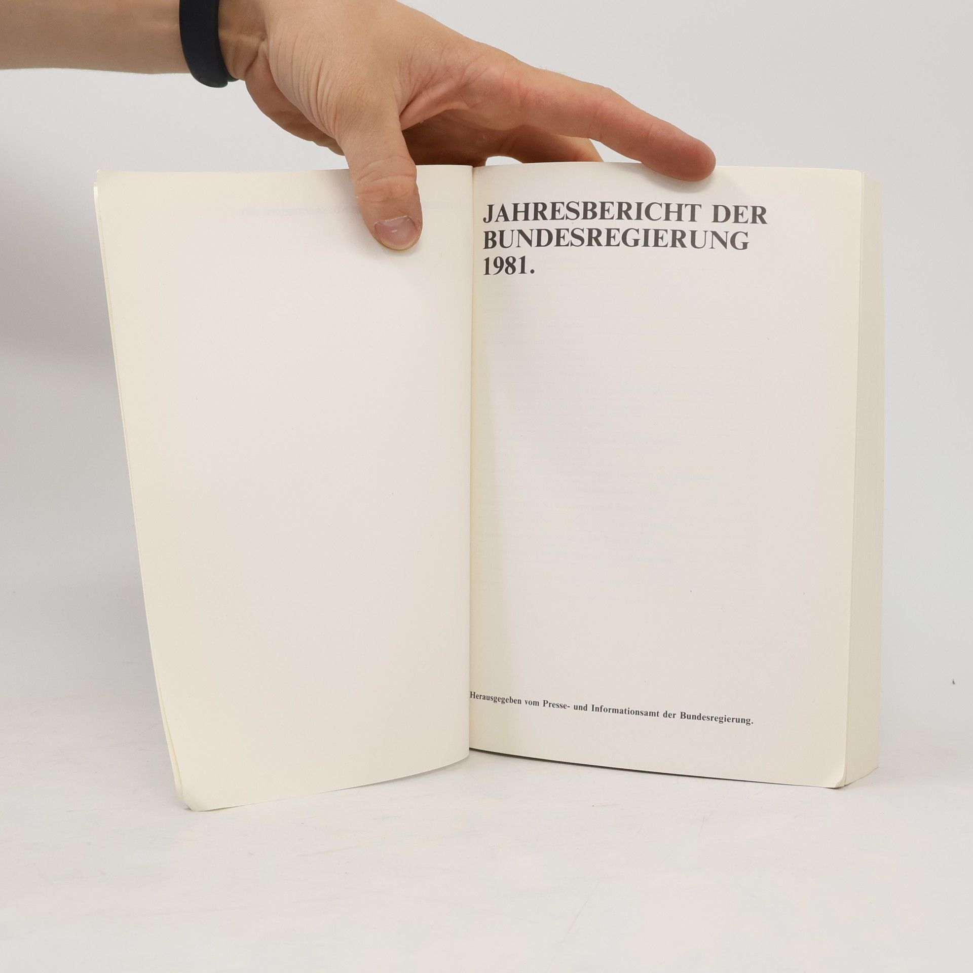 Autorenkollektiv Jahresbericht der Bundesregierung 1981