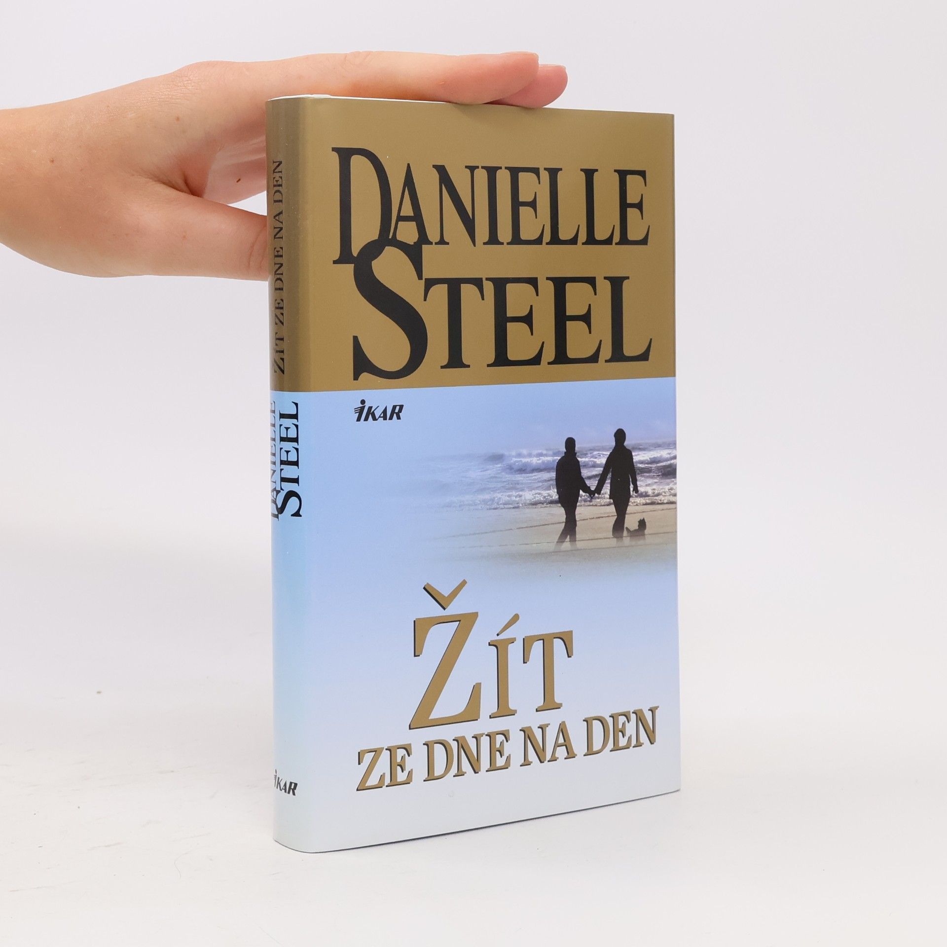 Danielle Steel Žít ze dne na den