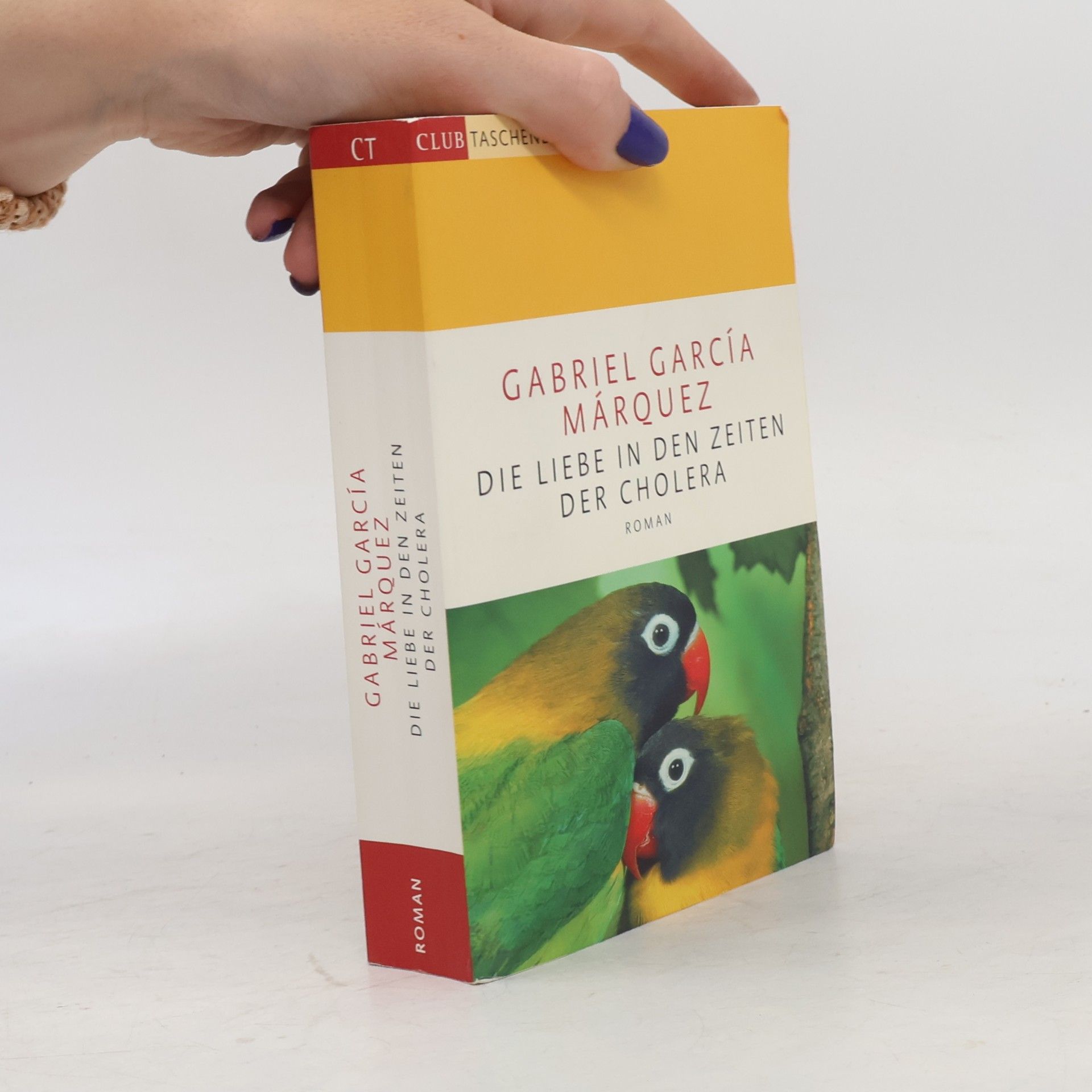 Gabriel García Márquez Die Liebe in den Zeiten der Cholera