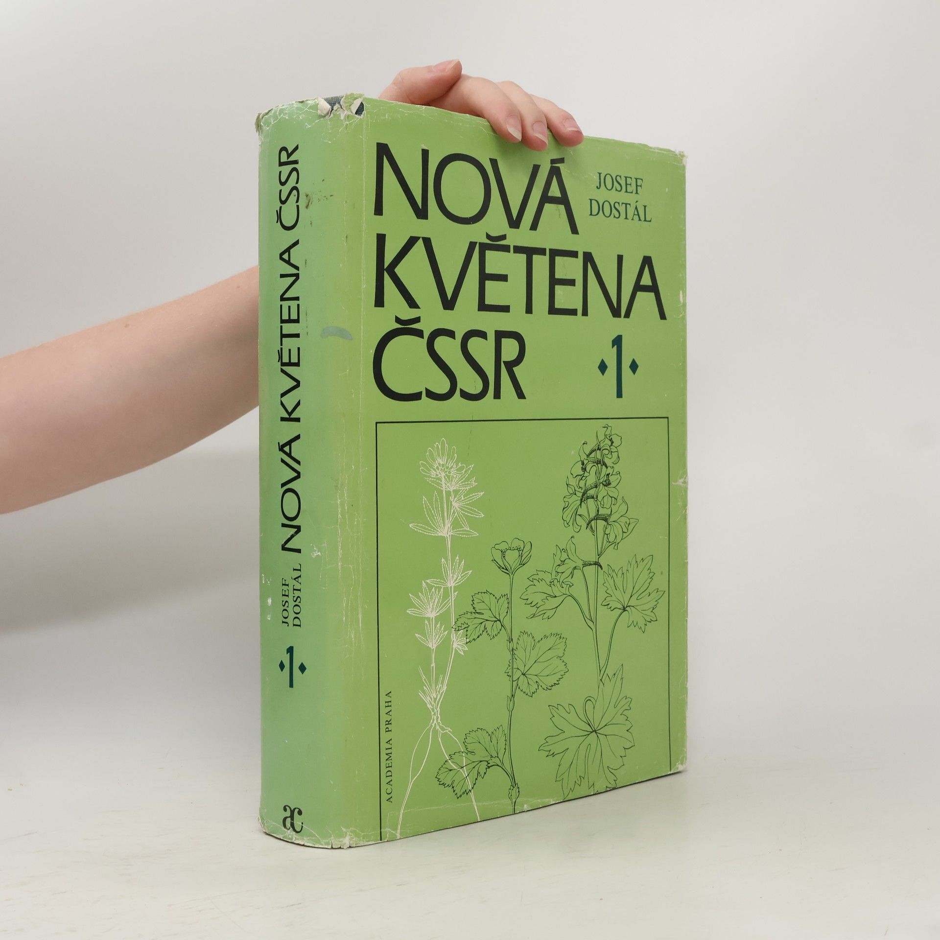 Nová květena ČSSR 1
