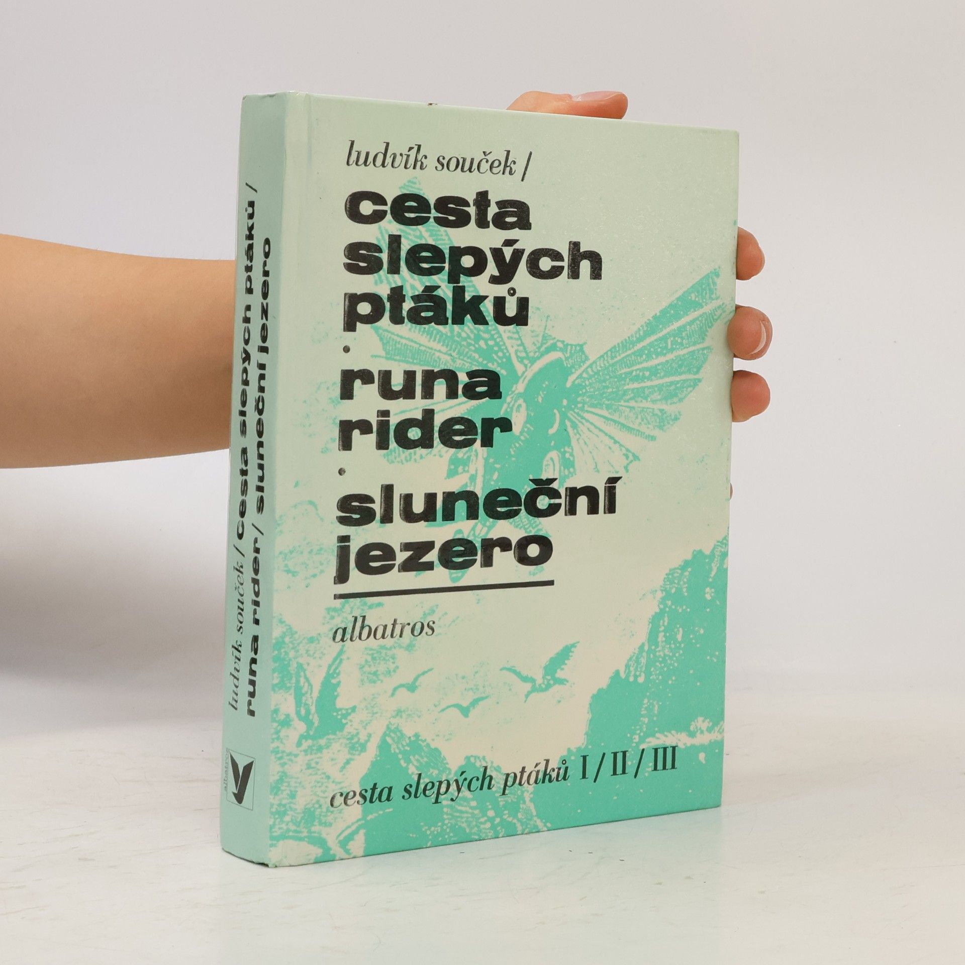 Ludvík Souček Cesta slepých ptáků. Runa rider. Sluneční jezero